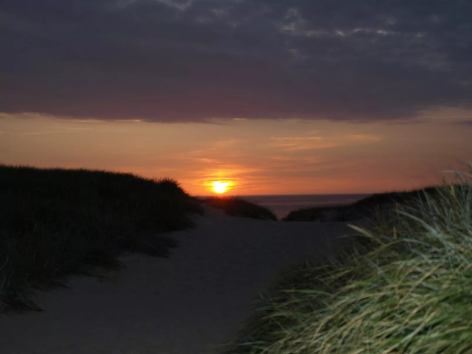 "Heming" - 100m from the sea-Draußen