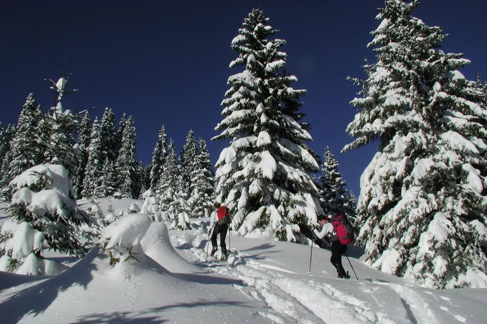 Erzberg Alpin Resort  14-Area winter 1km