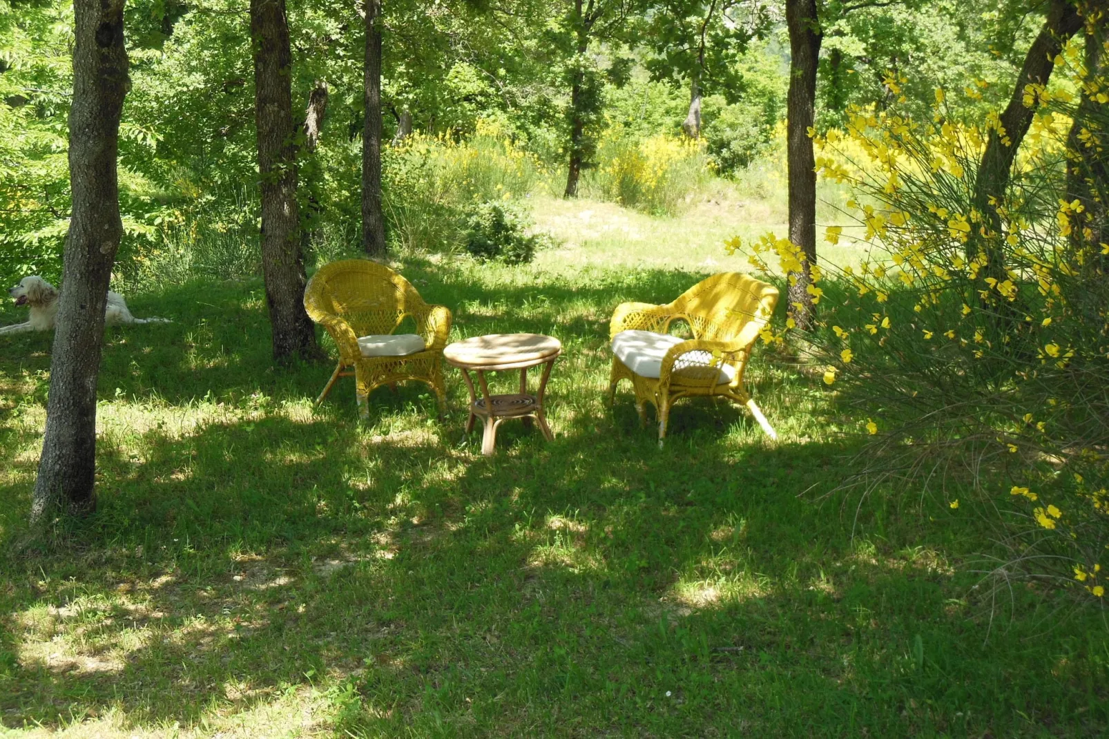 Casa Lauretta-Gardens summer