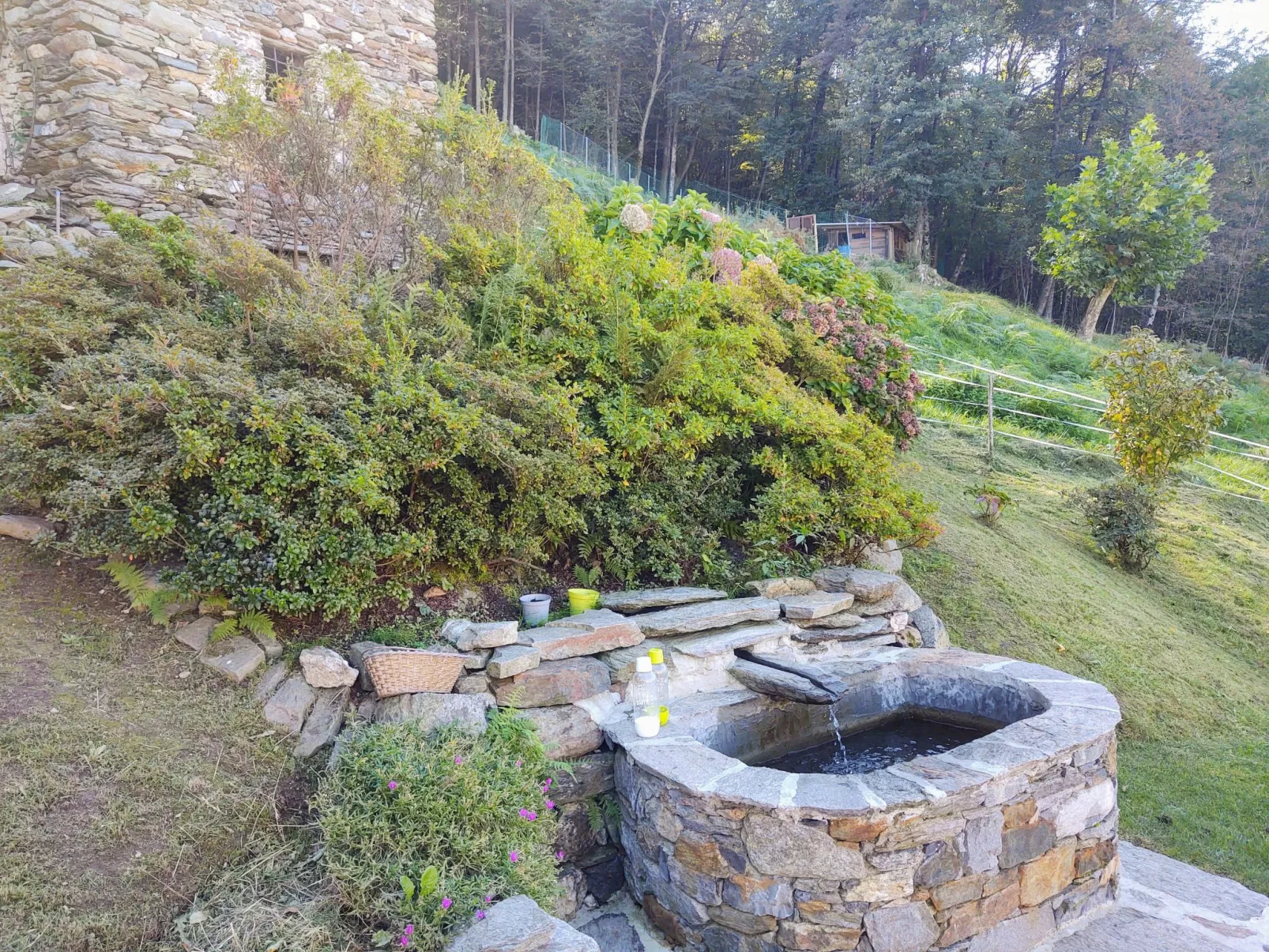 Rodondello (CCO340)-Outside