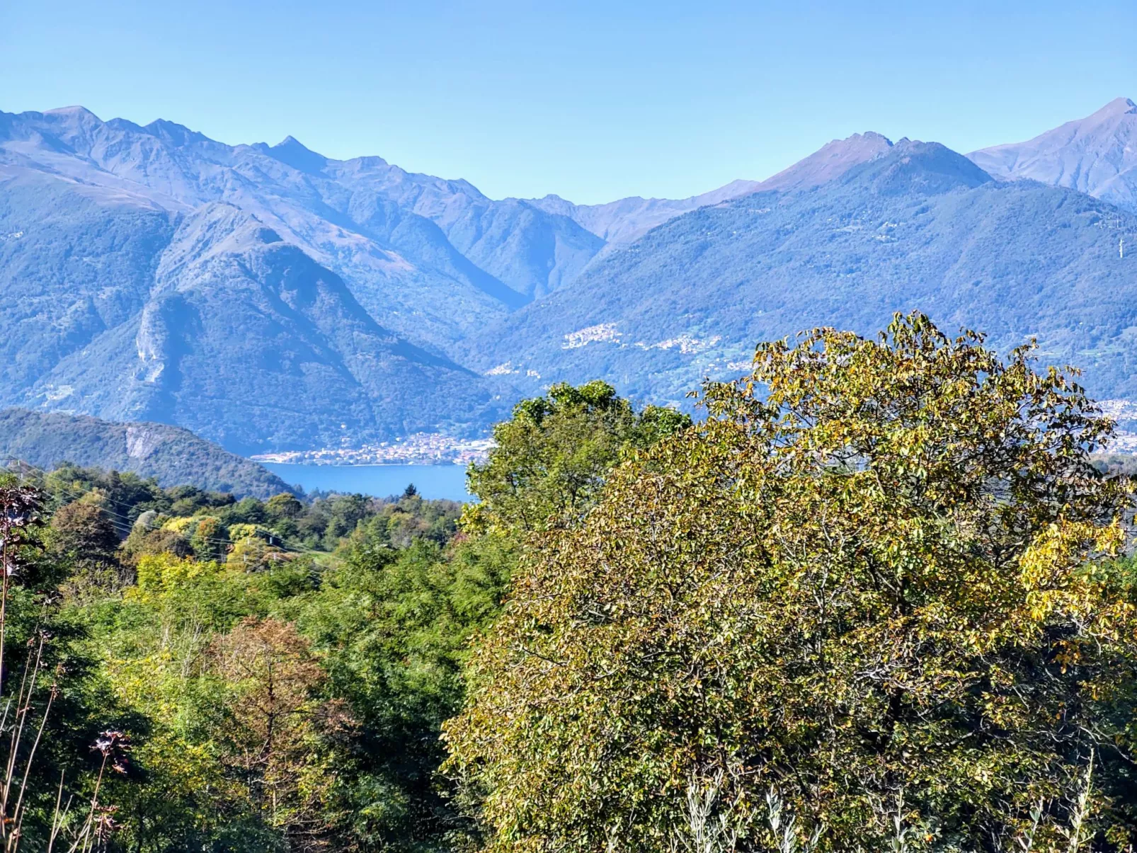 Rodondello (CCO340)-Outside