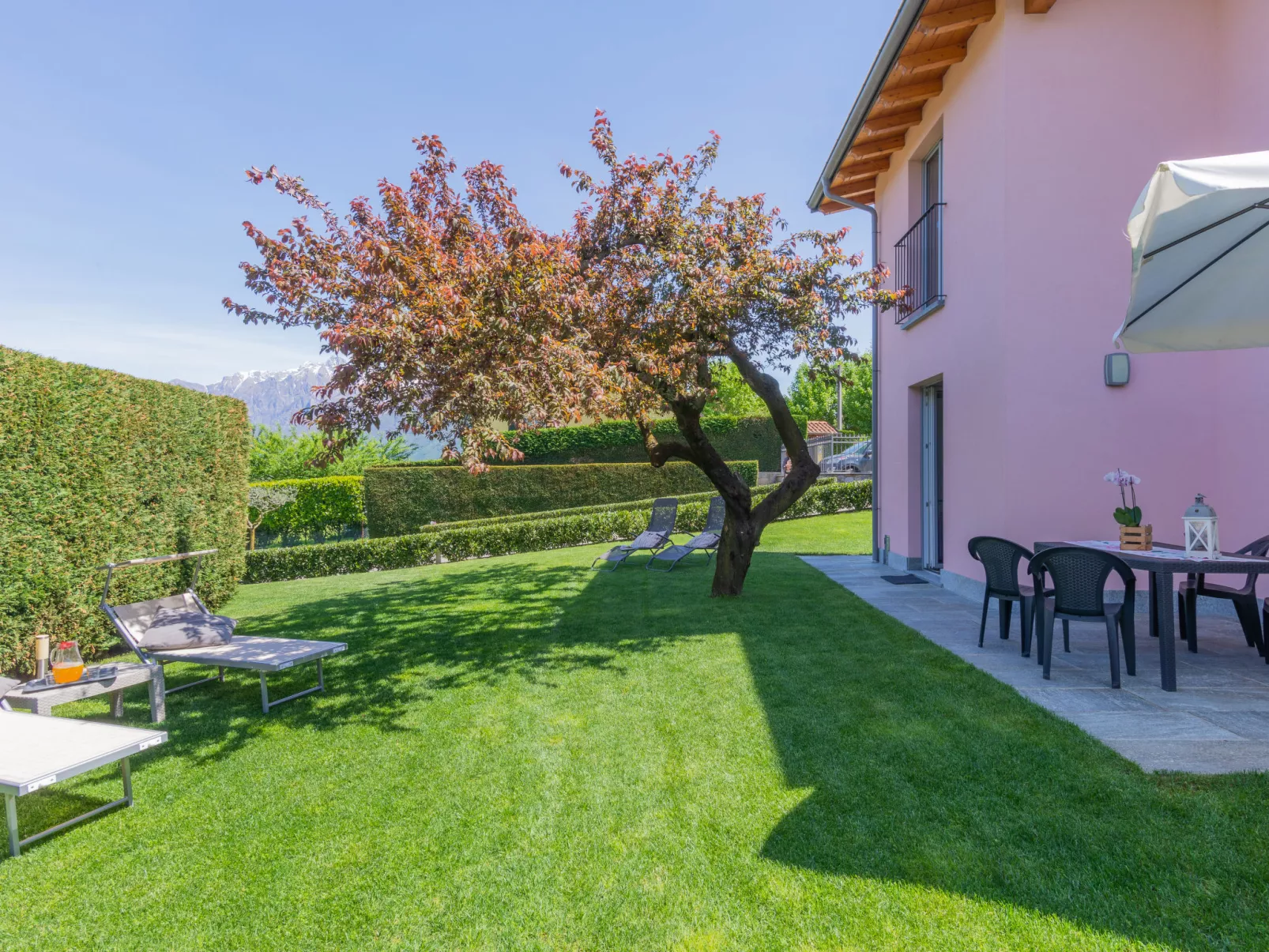 Orchidea (CCO555)-Outside