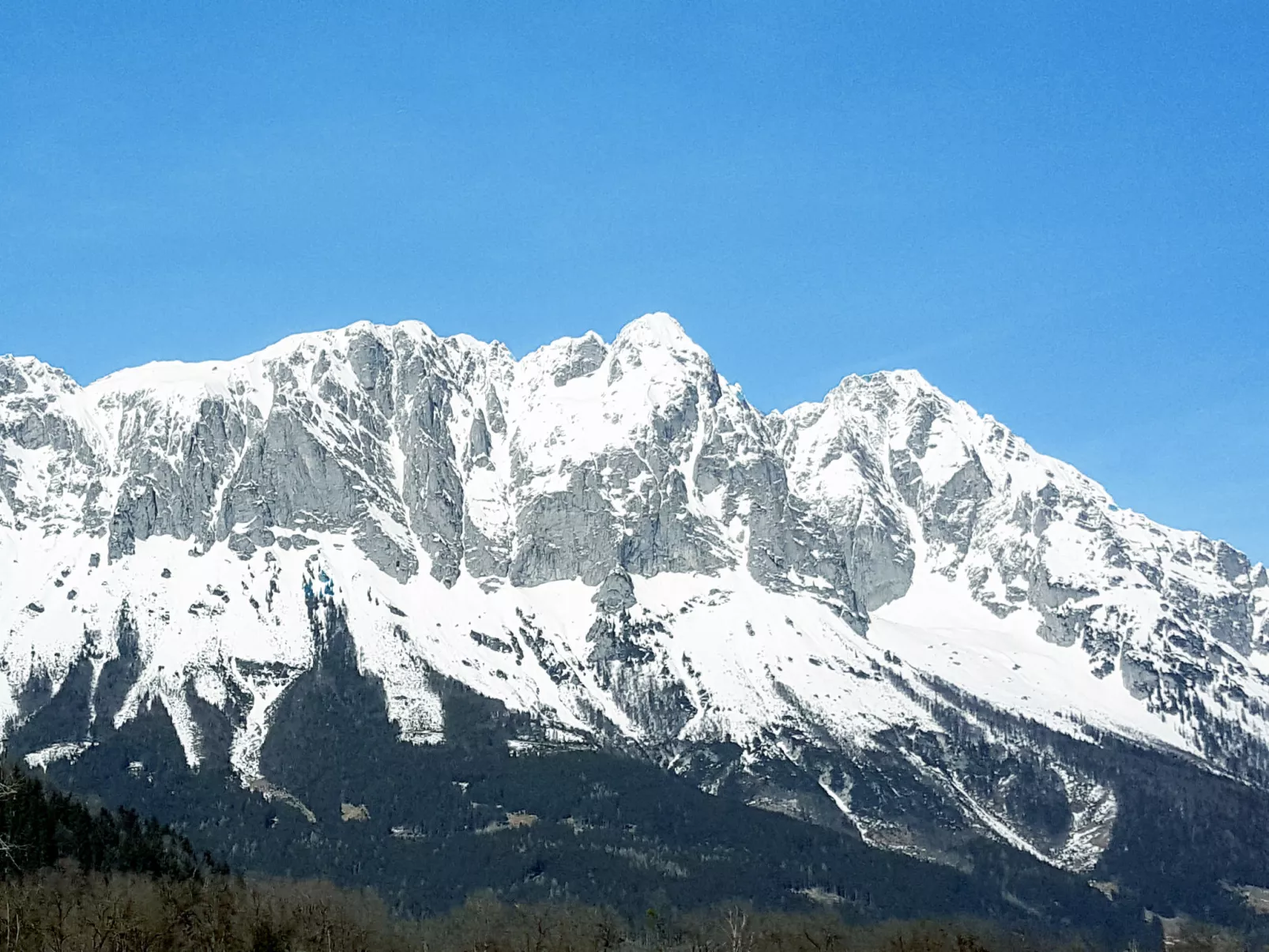 Viola-Area