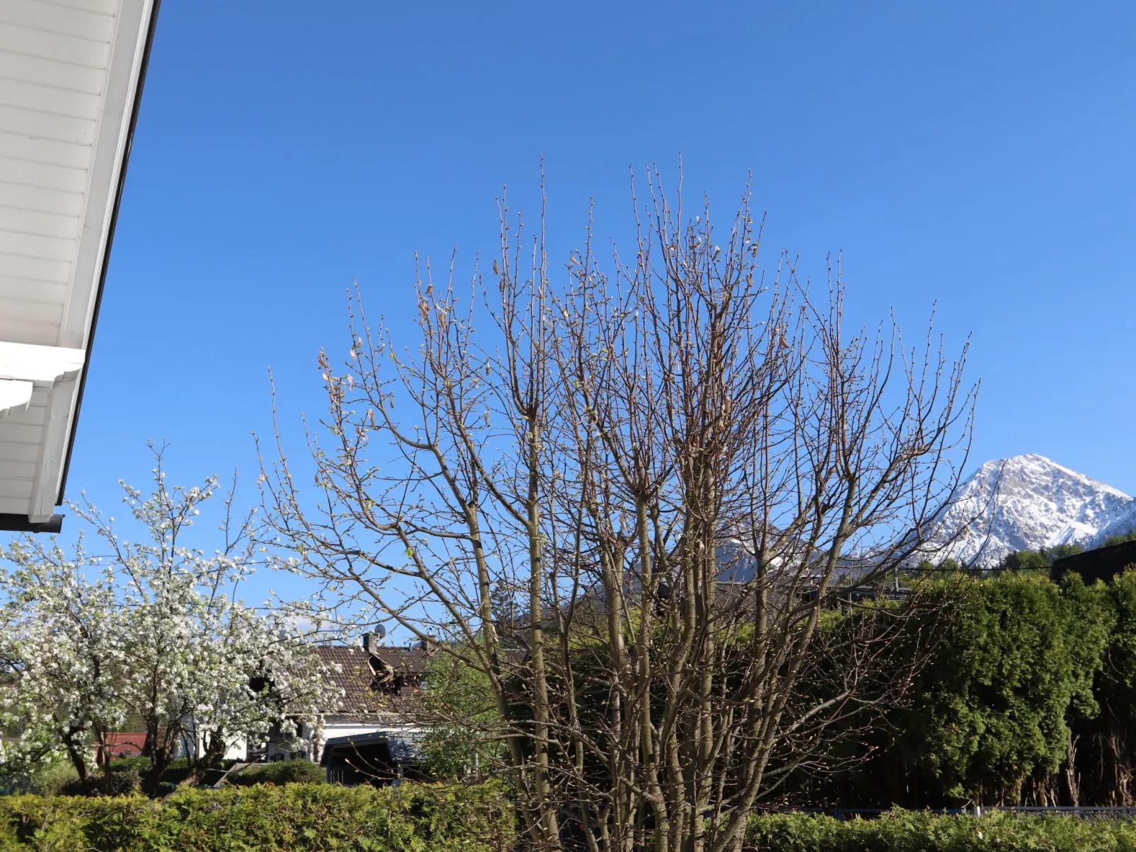Seehaus Blue Faak-Outside