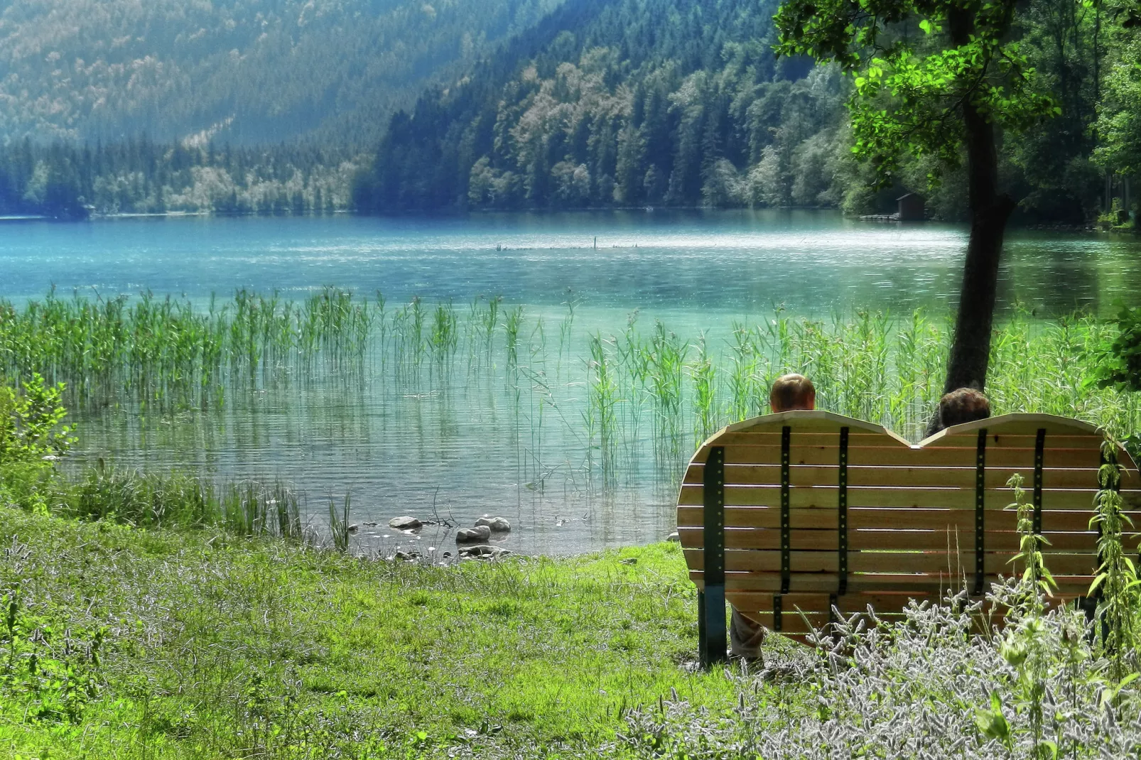 Erzberg Alpin Resort  9-Areas summer 5km