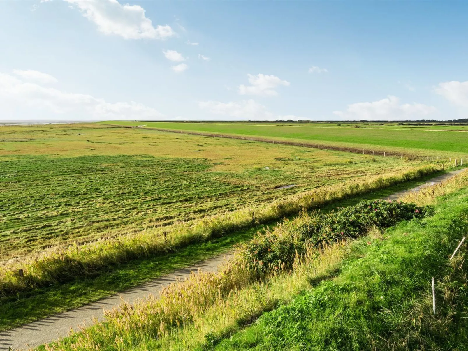 "Gudbrand" - 300m from the sea-Dehors