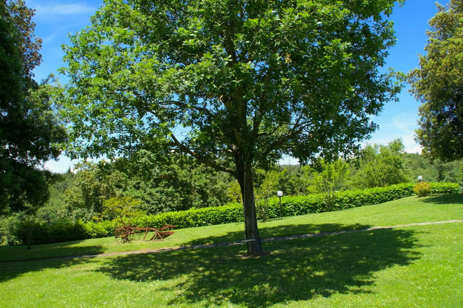 Vaschi Undici Trilo Sei-Gardens summer