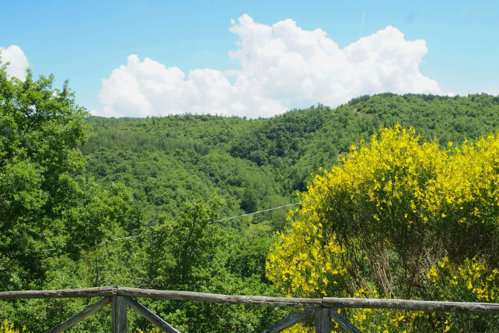 Vaschi Undici Trilo Sei-View summer