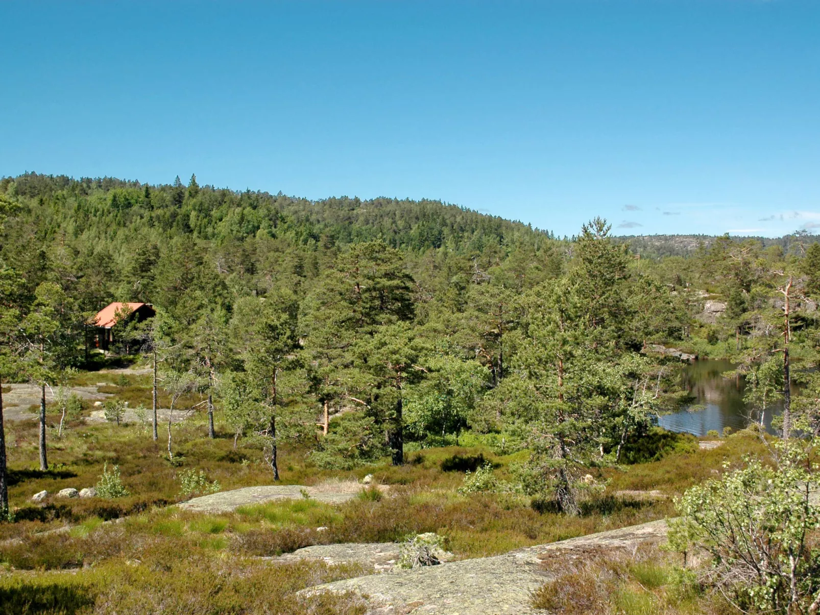 Førevanns Hytta-Outside