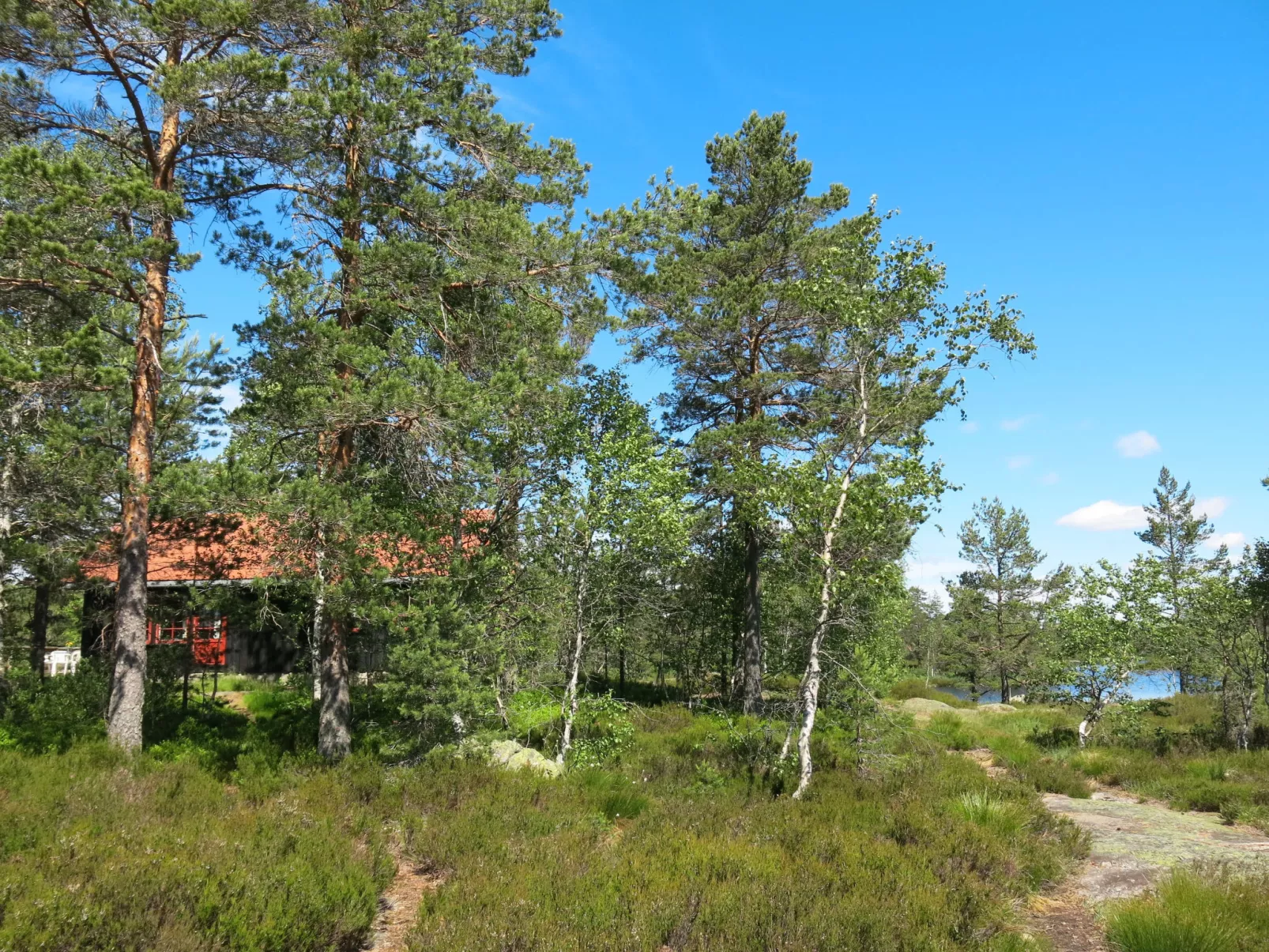 Førevanns Hytta-Outside