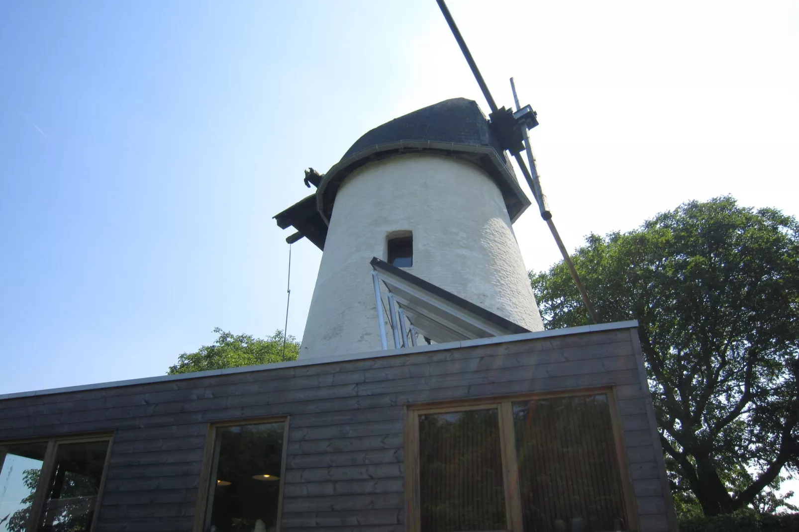 De Reus van Horebeke-Exterior summer
