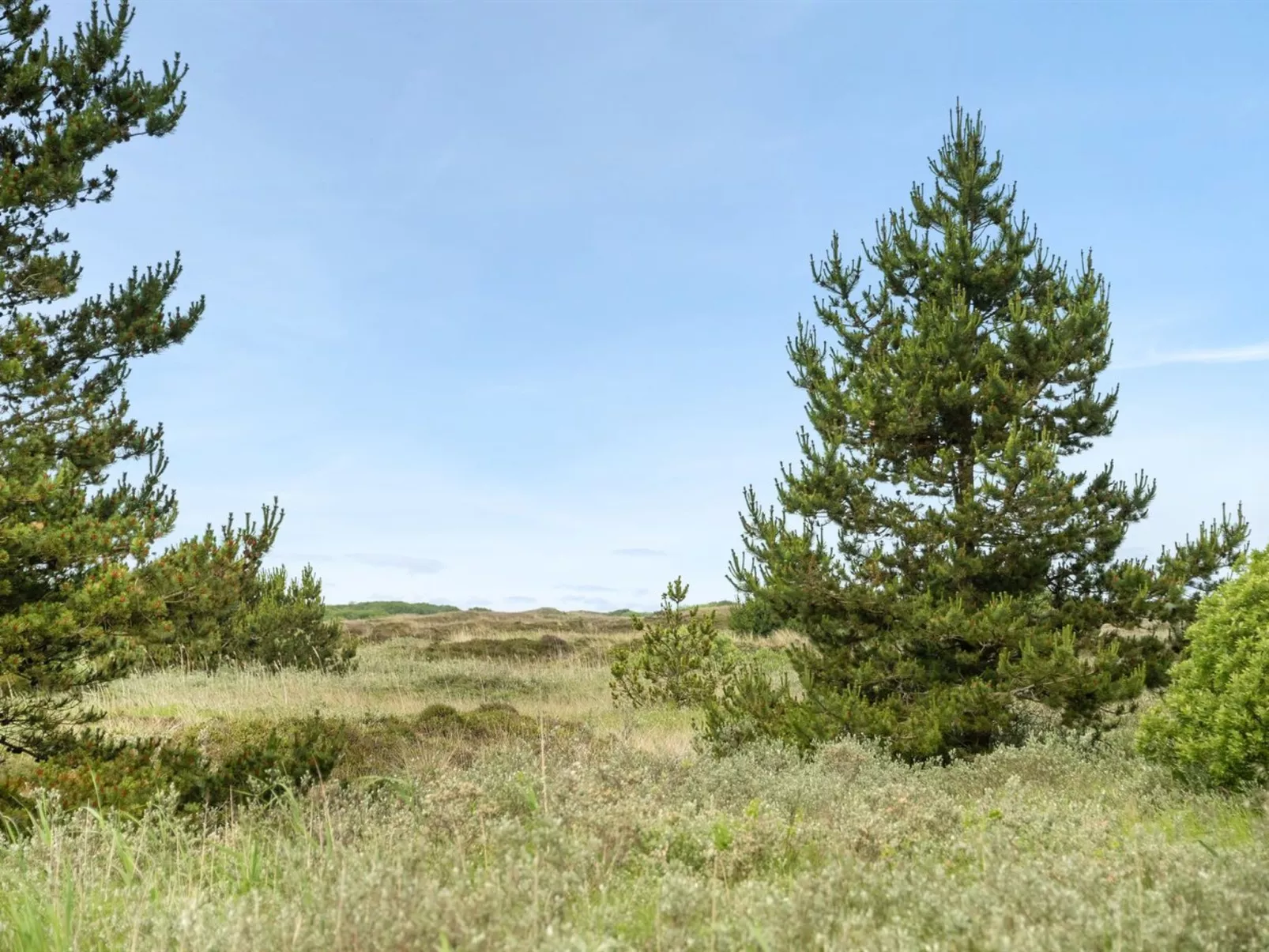 "Doria" - 2km from the sea-Outside