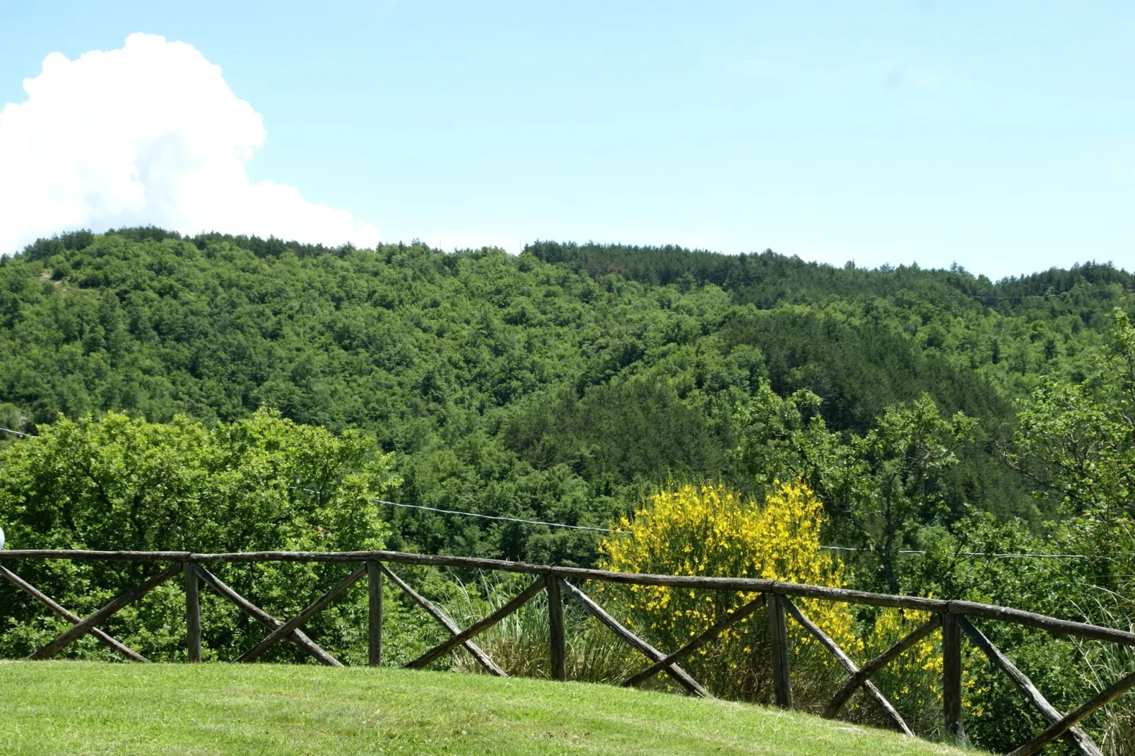 Vaschi Due Trilo Cinque-View summer