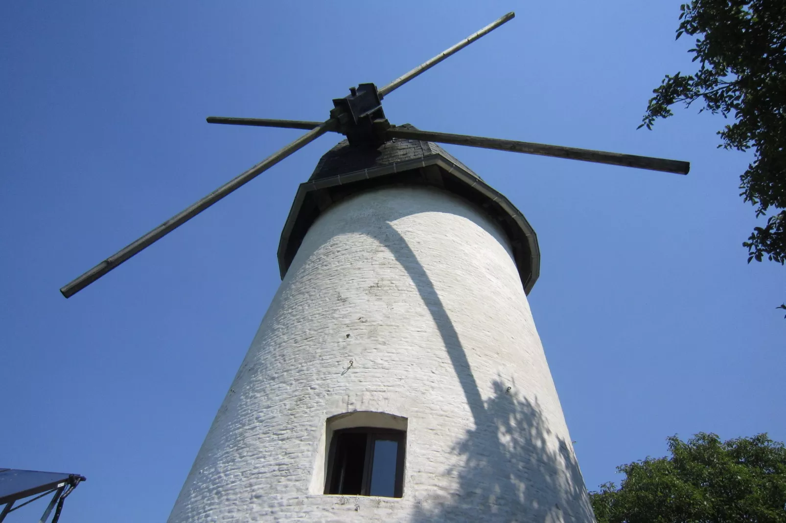 De Reus van Horebeke-Exterior summer