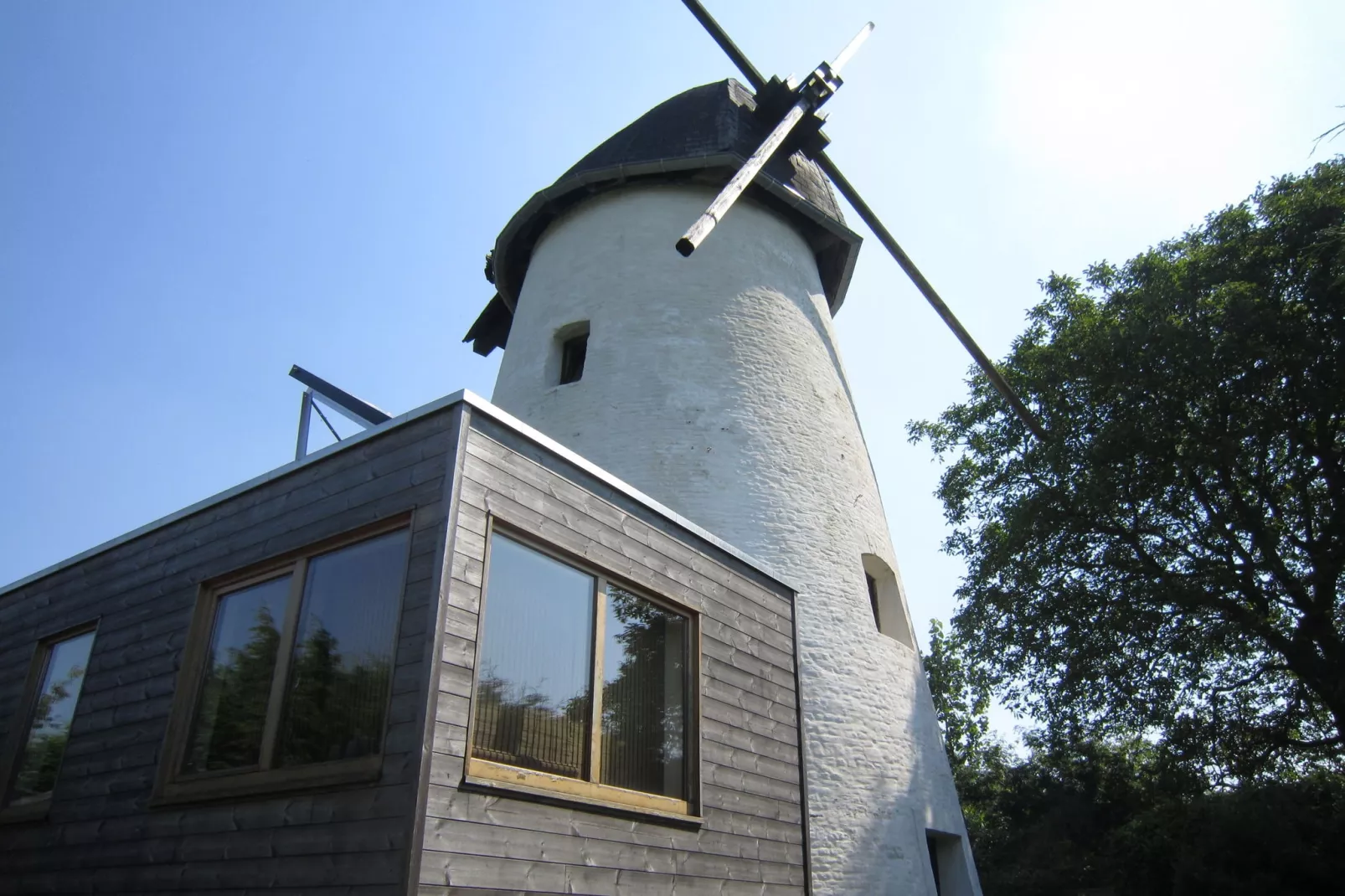 De Reus van Horebeke-Exterior summer