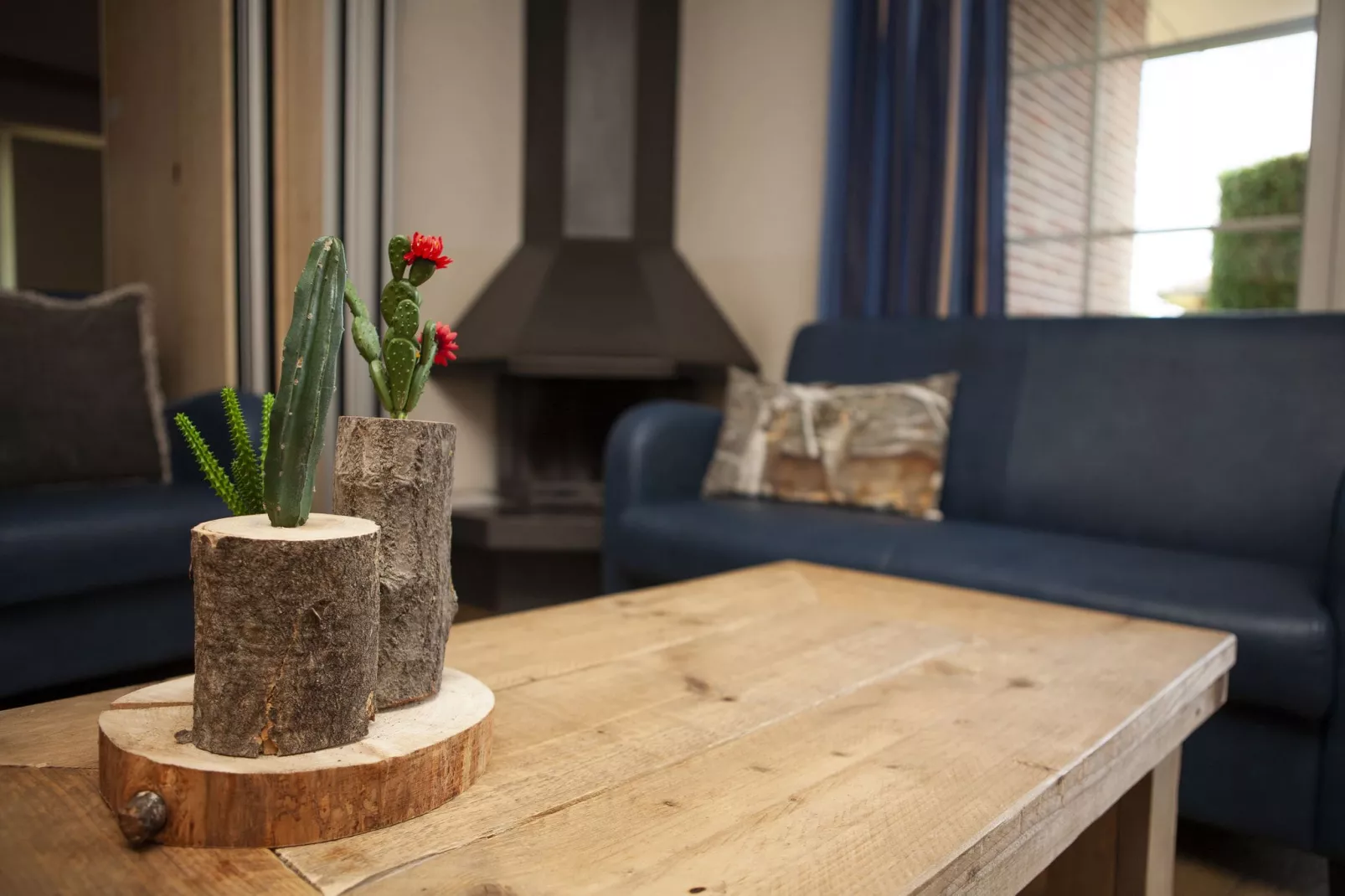 Recreatiepark de Boshoek 14-Living room