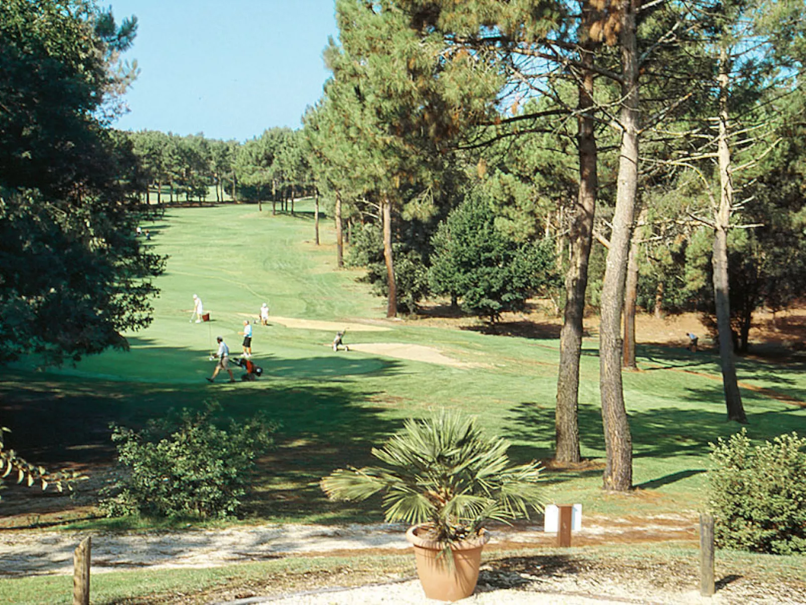 Eden Parc Golf de l'Ardilouse V4IS-Outside