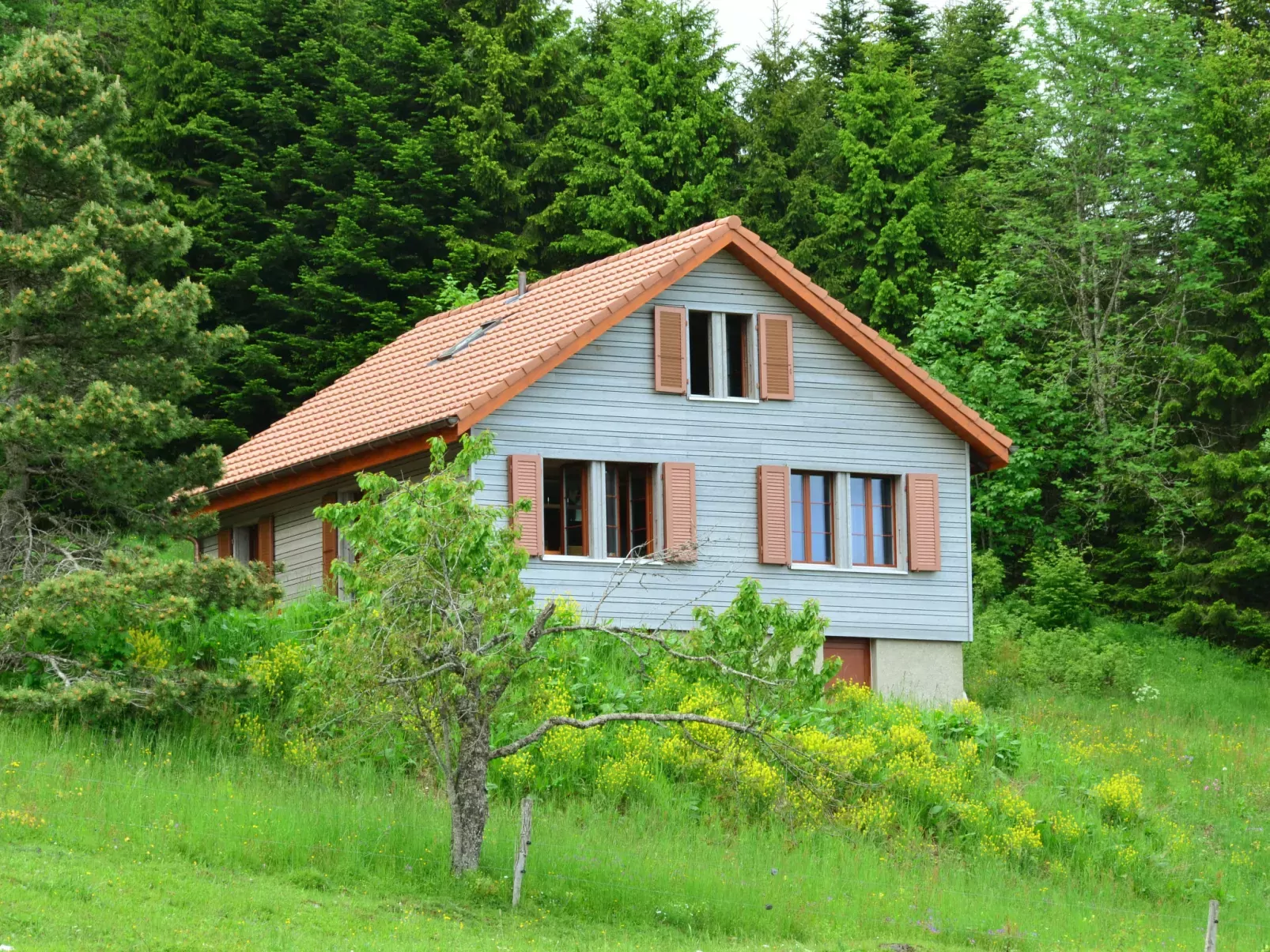 Chalet la Frêtaz-Outside