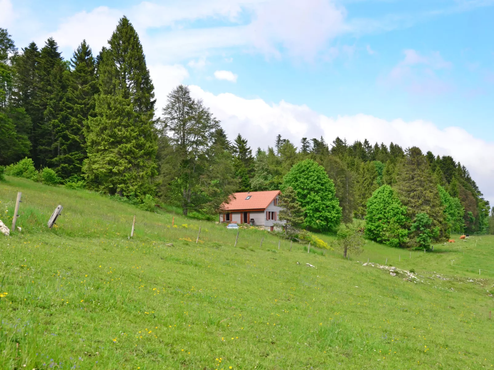 Chalet la Frêtaz-Outside