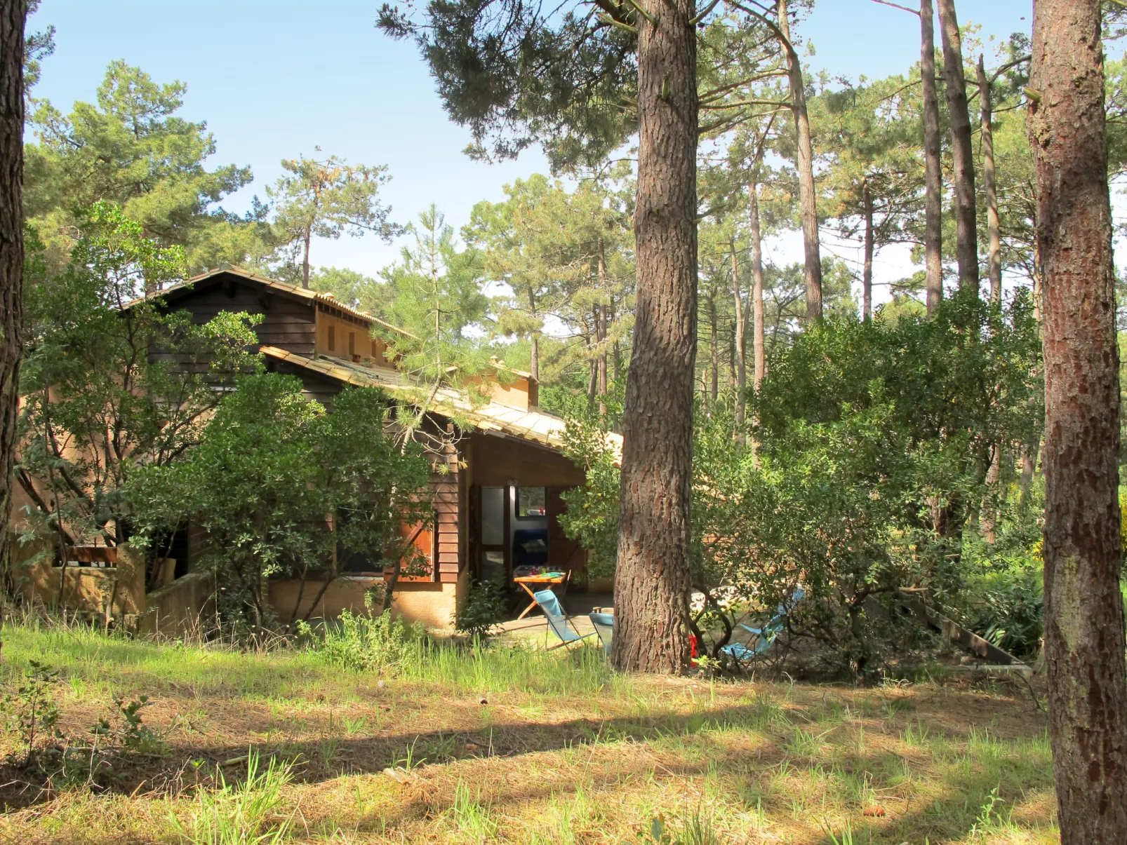 Les maisons de la forêt-Outside
