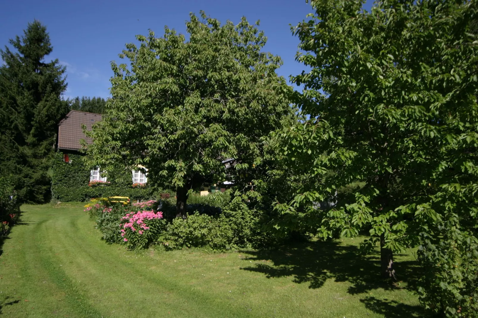 Ivy House Scheifling-Jardin d'été