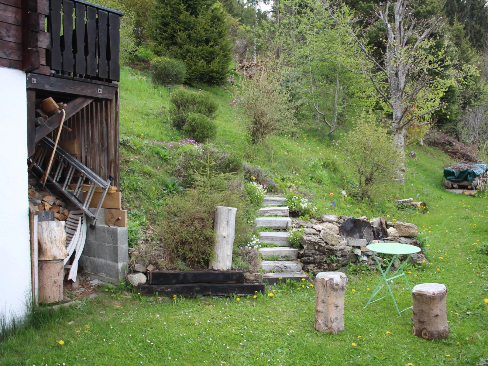 Chalet Les Pitchounes-Outside