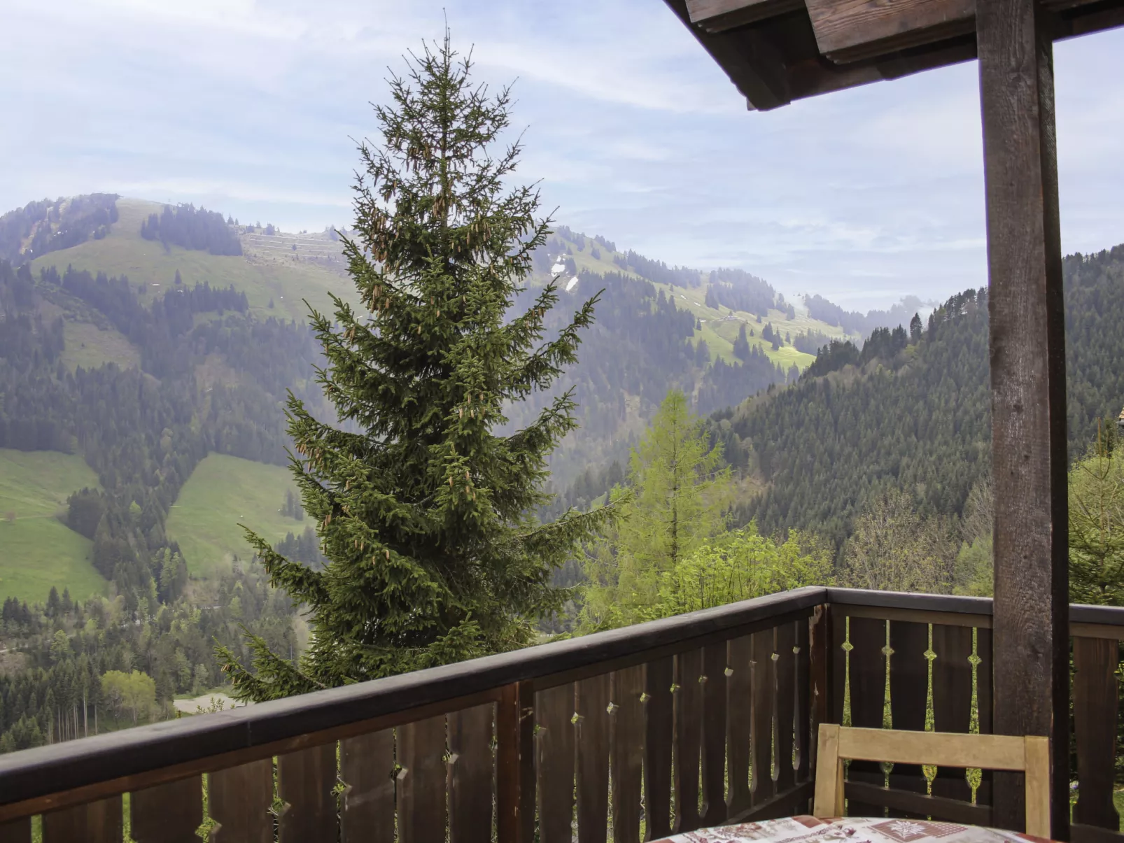 Chalet Les Pitchounes-Outside