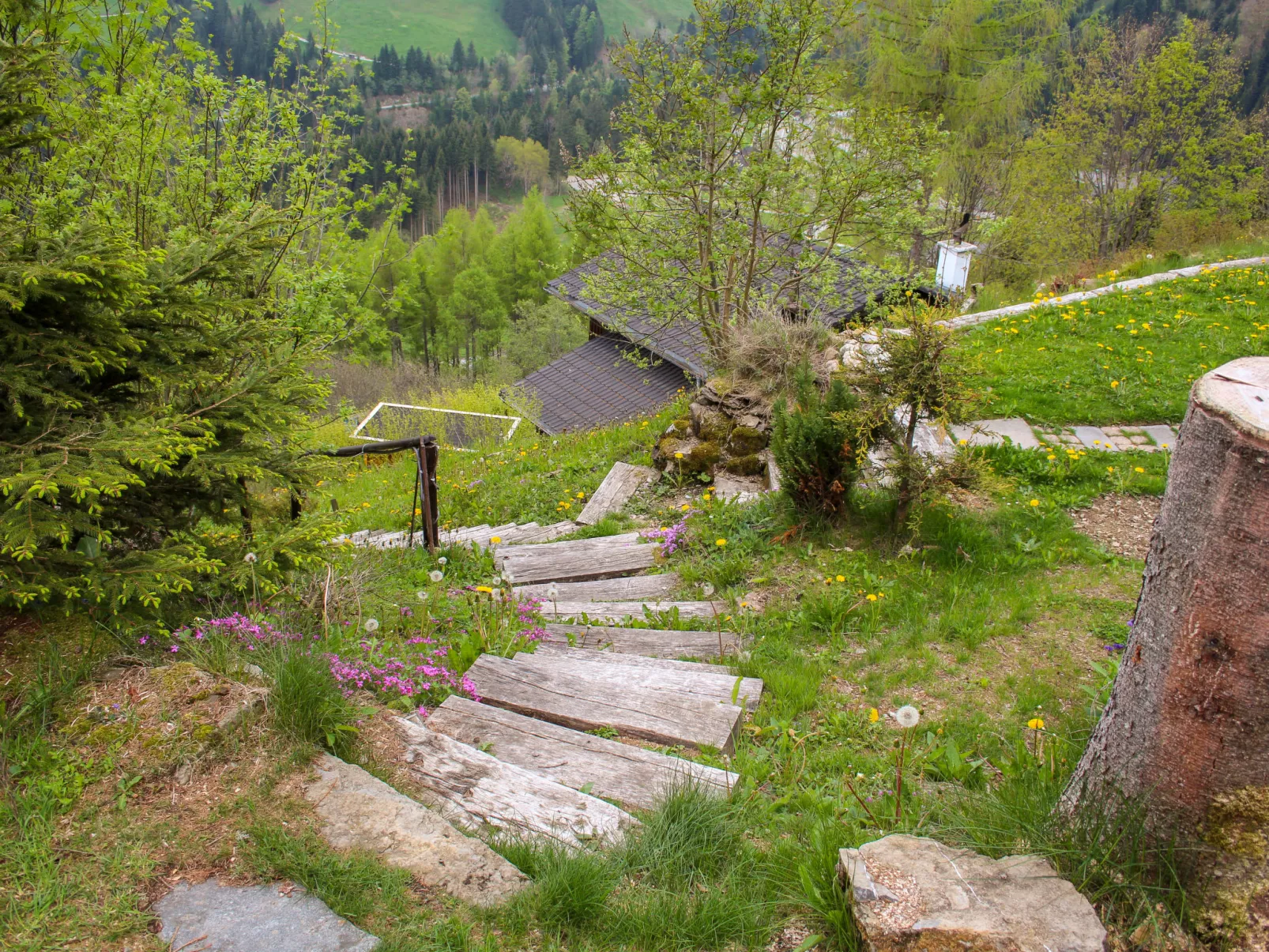Chalet Les Pitchounes-Outside