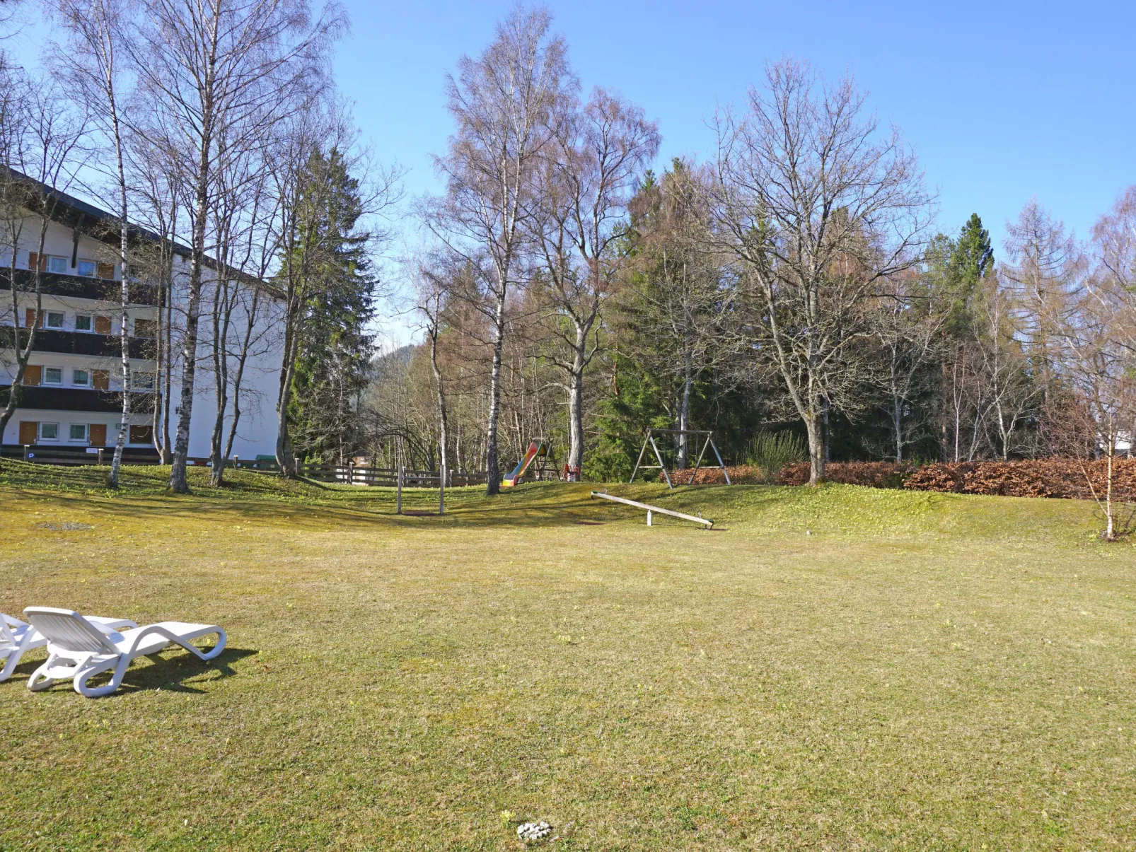 Birkenwald-Outside