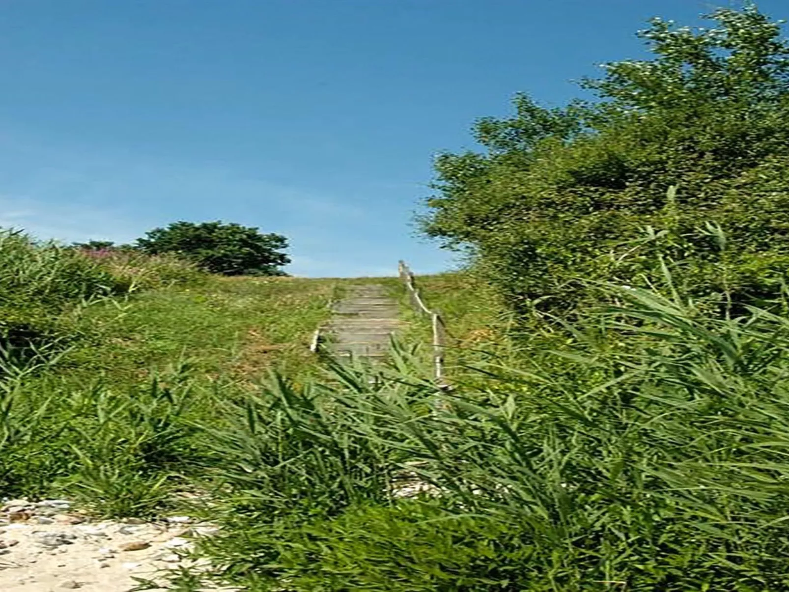 "Pirjo" - 50m from the sea-Draußen