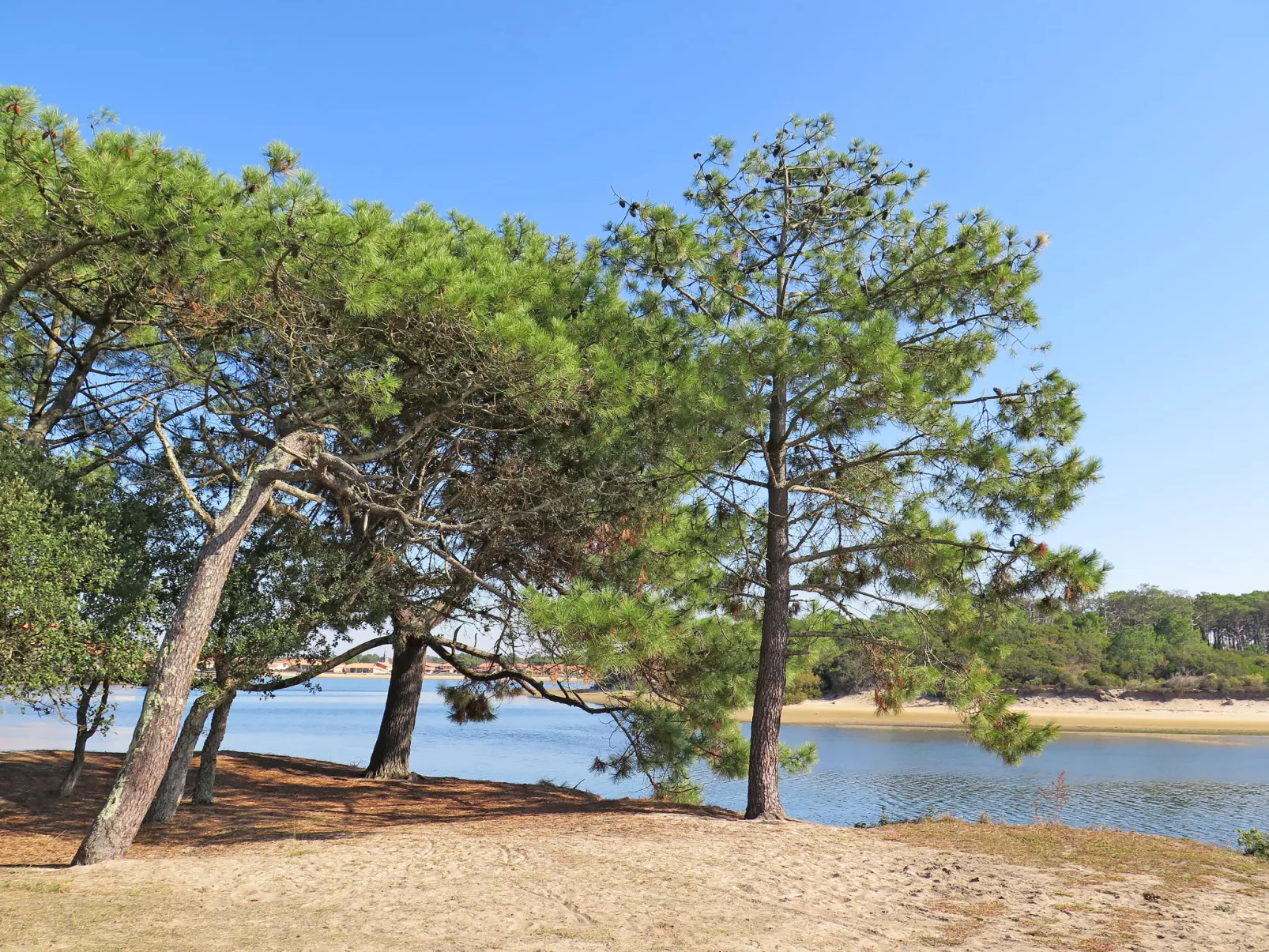 Les Sables d’Or T3-Area