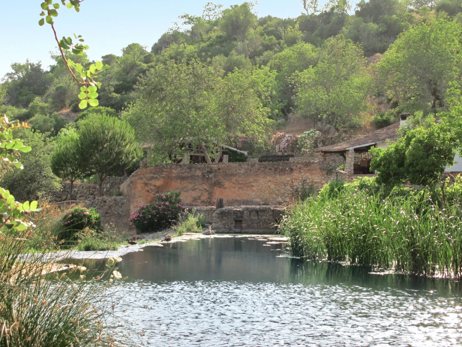 Monte da Calma-Area