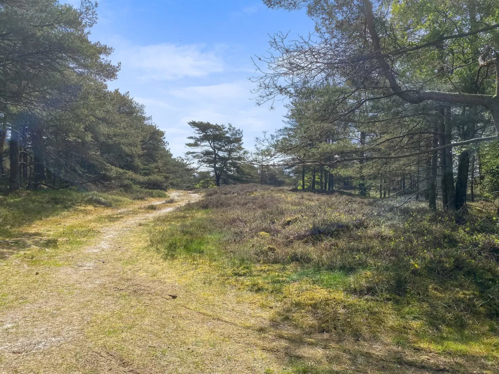 "Mikaela" - 1km from the sea-Outside