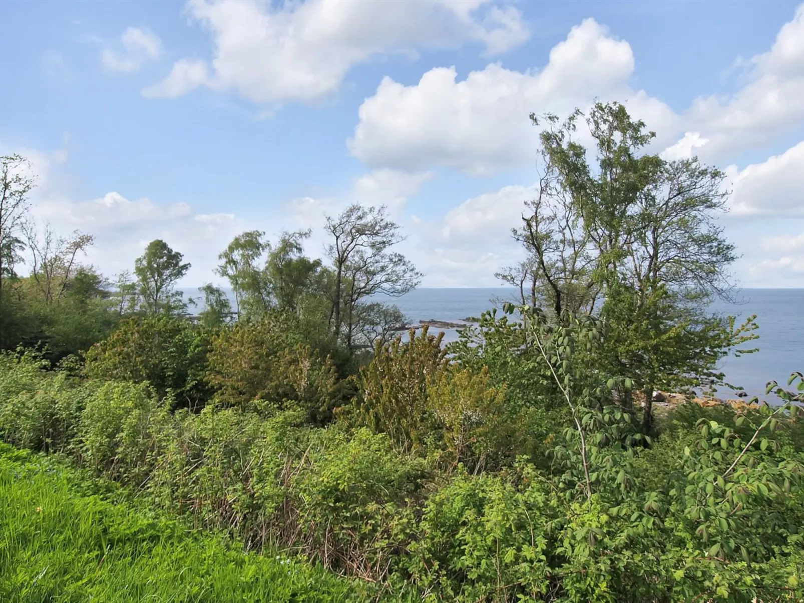 "Fabine" - 50m from the sea-Inside