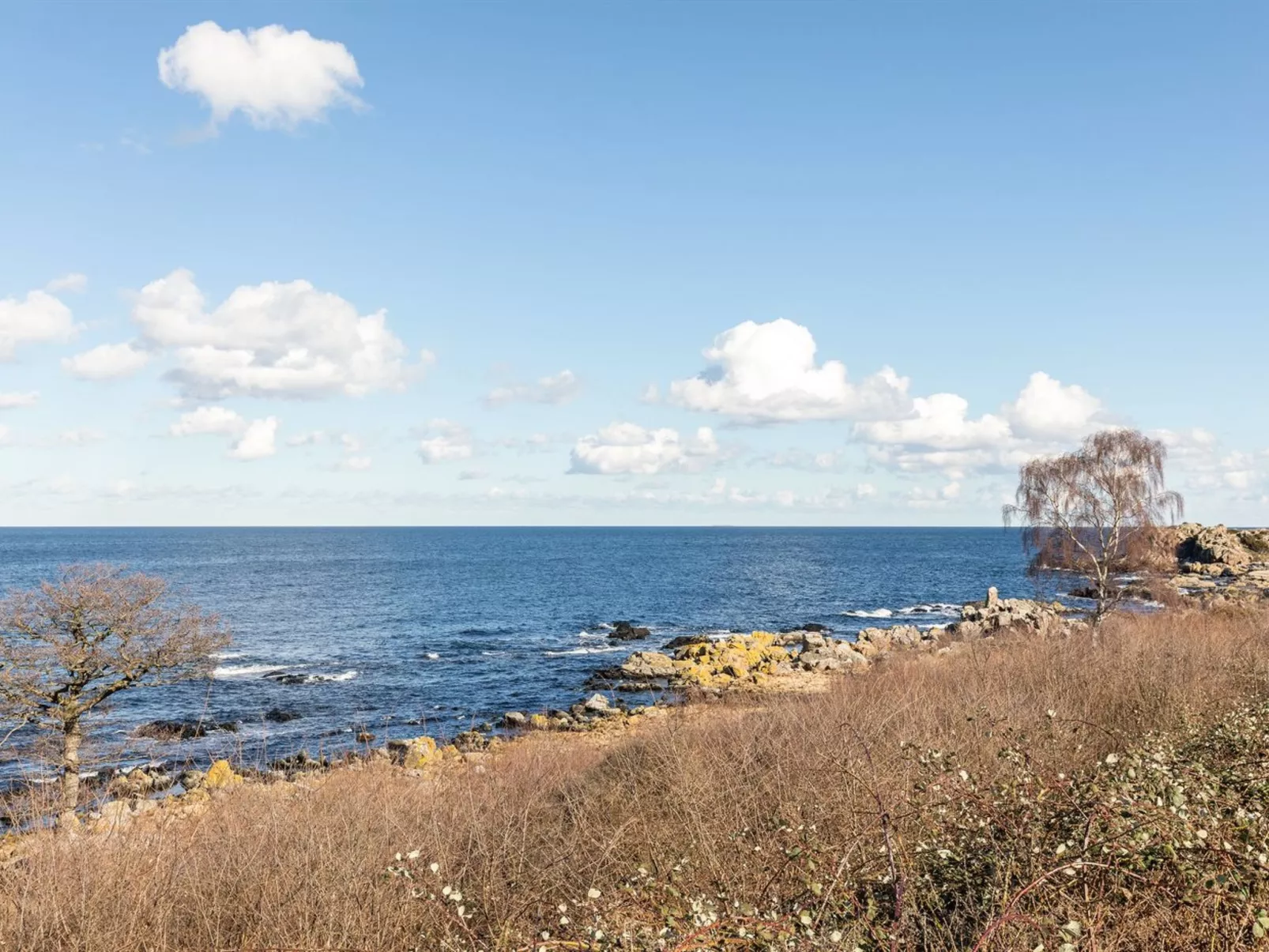 "Fabine" - 50m from the sea-Inside