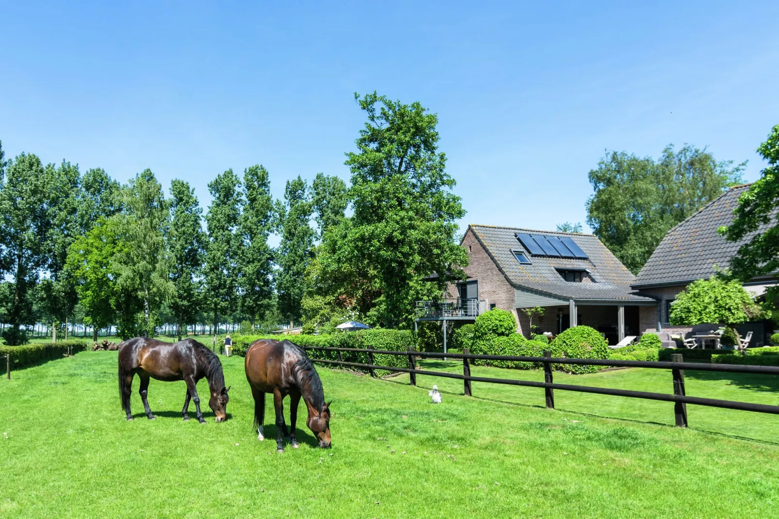 't Moerhuisje-Außenbereich Sommer