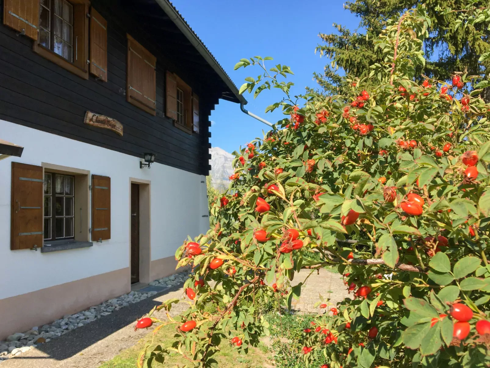 Chalet Chante Neige-Dehors