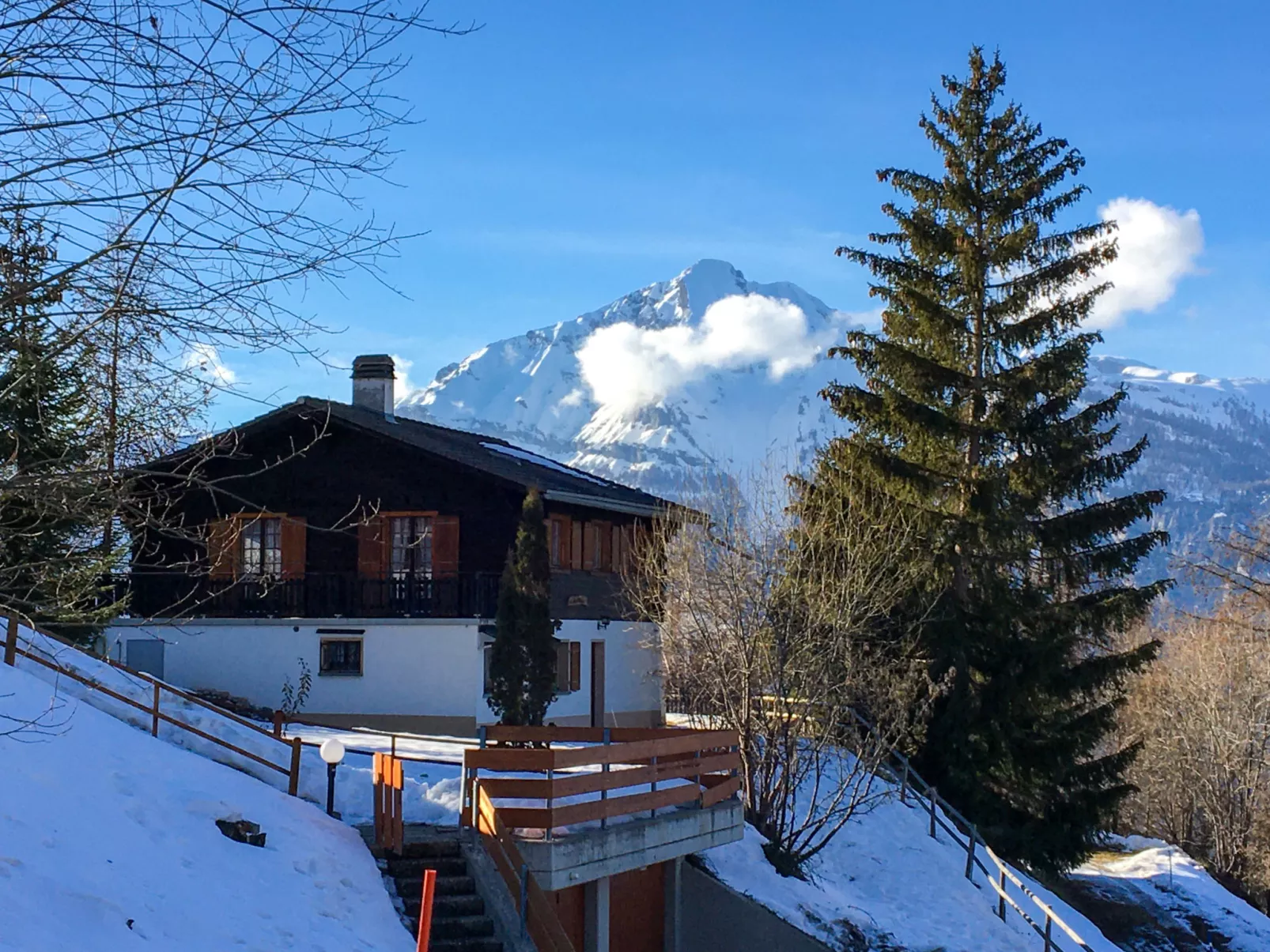 Chalet Chante Neige-Dehors