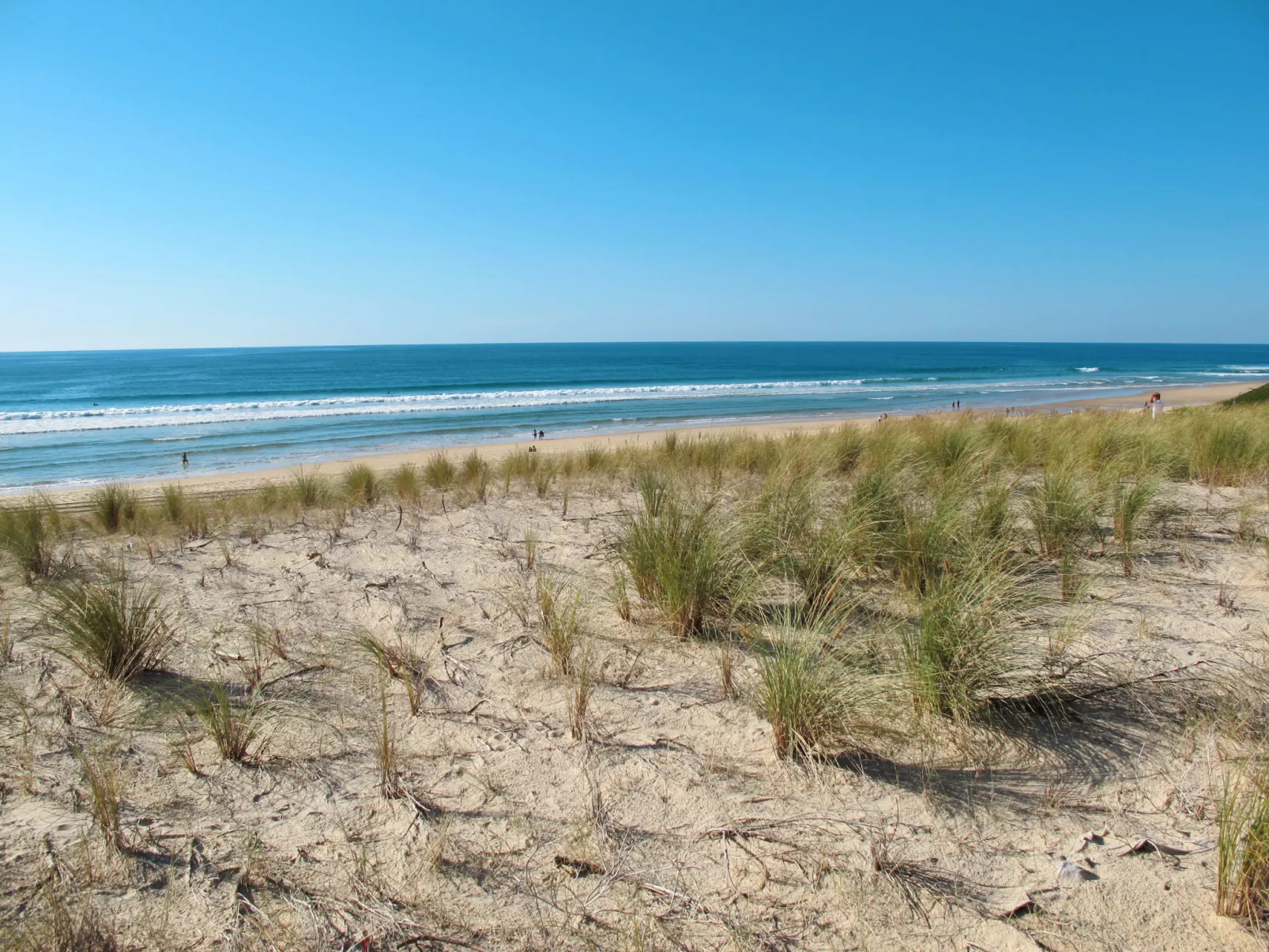 Résidence Dune Blanche - Sable-Area