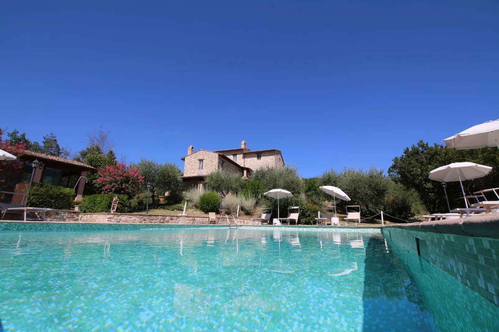 Rosmarino e Salvia-Exterior summer