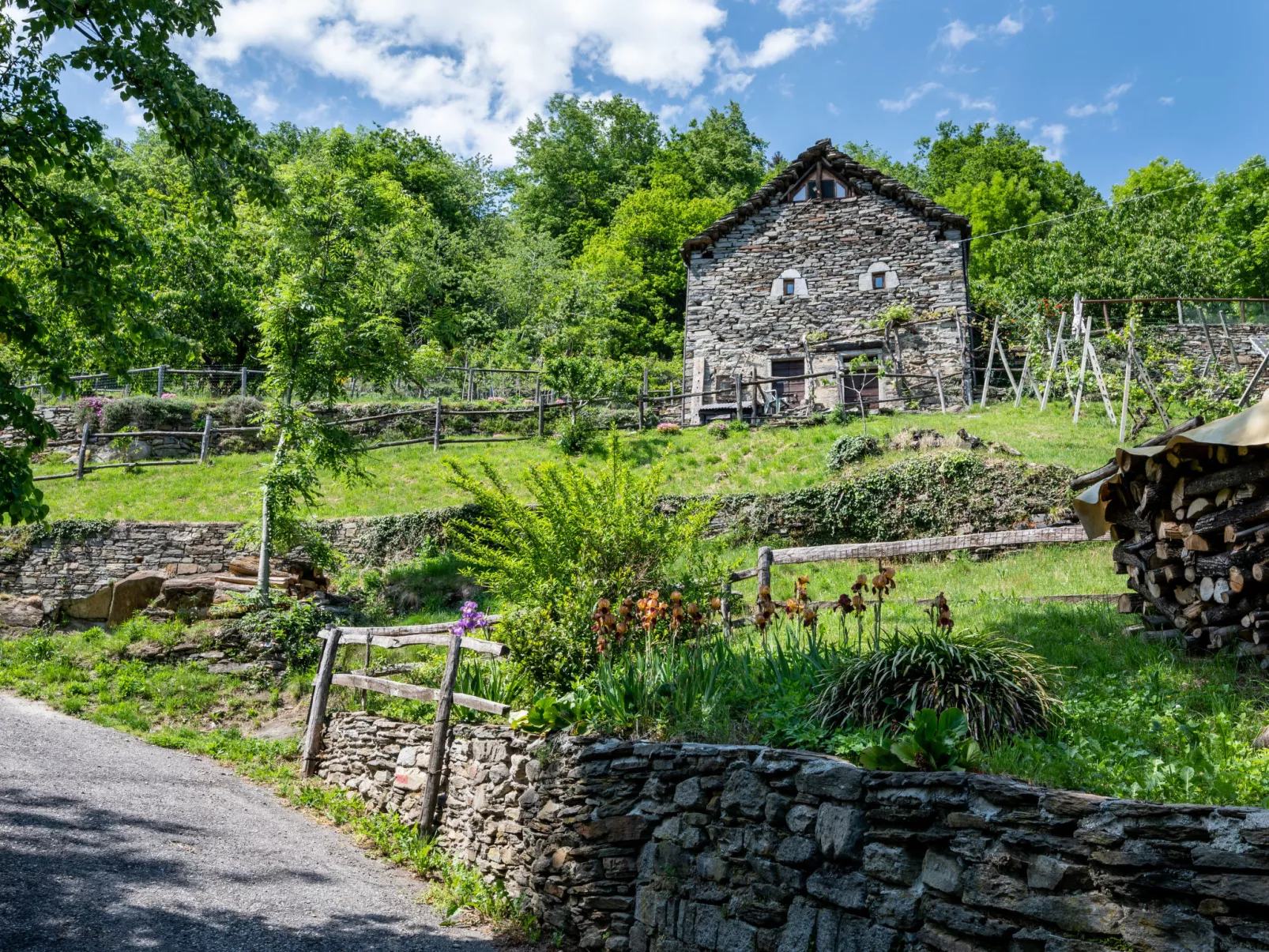 Baita Degli Orsi (DOD110)-Outside