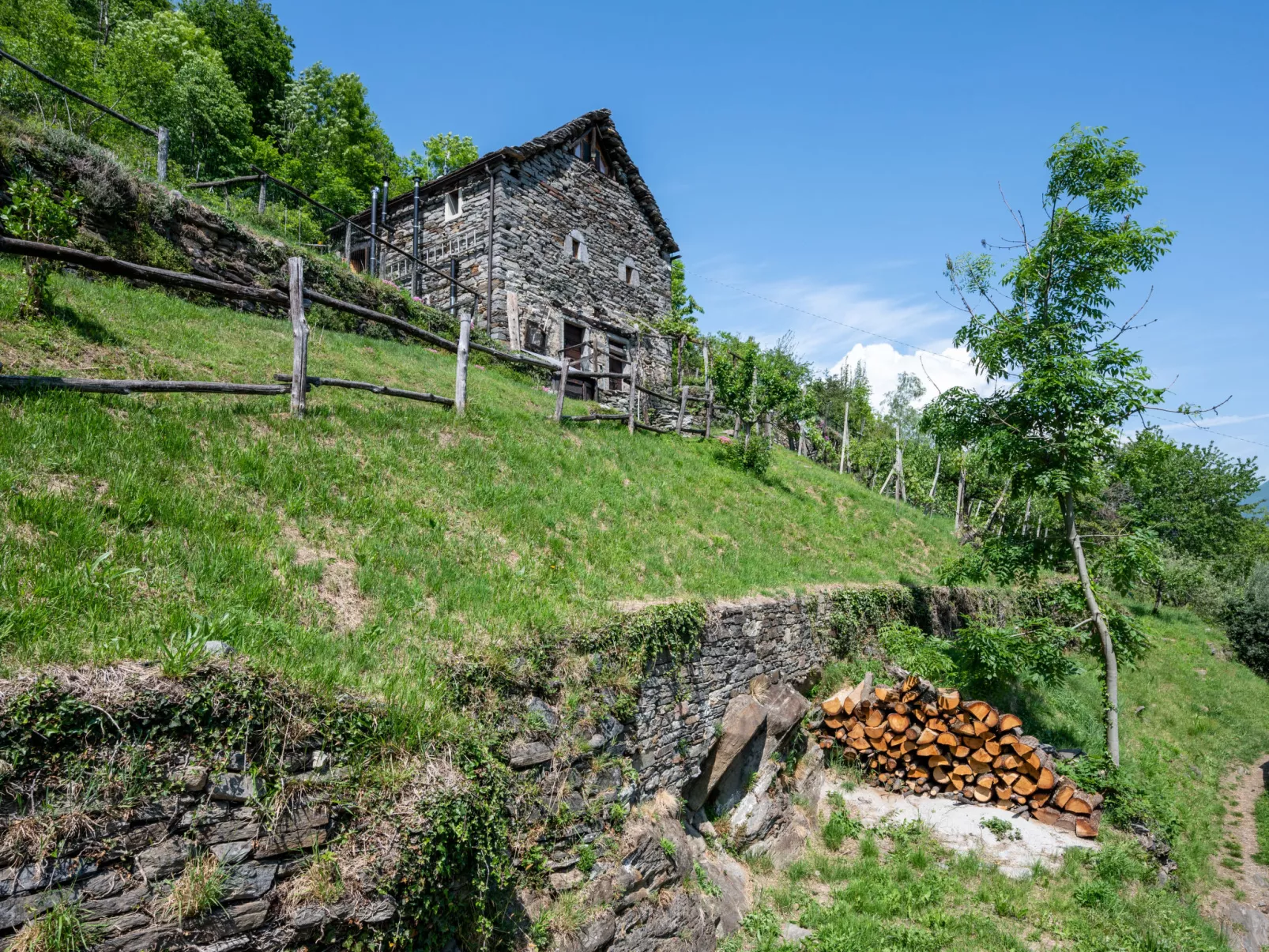 Baita Degli Orsi (DOD110)-Outside