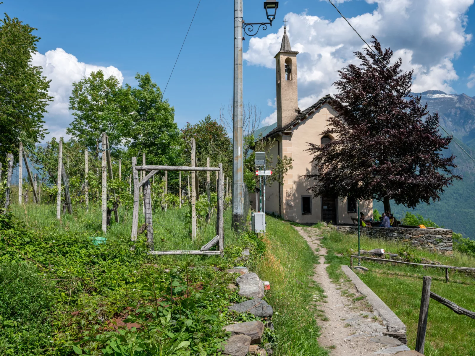 Baita Degli Orsi (DOD110)-Outside