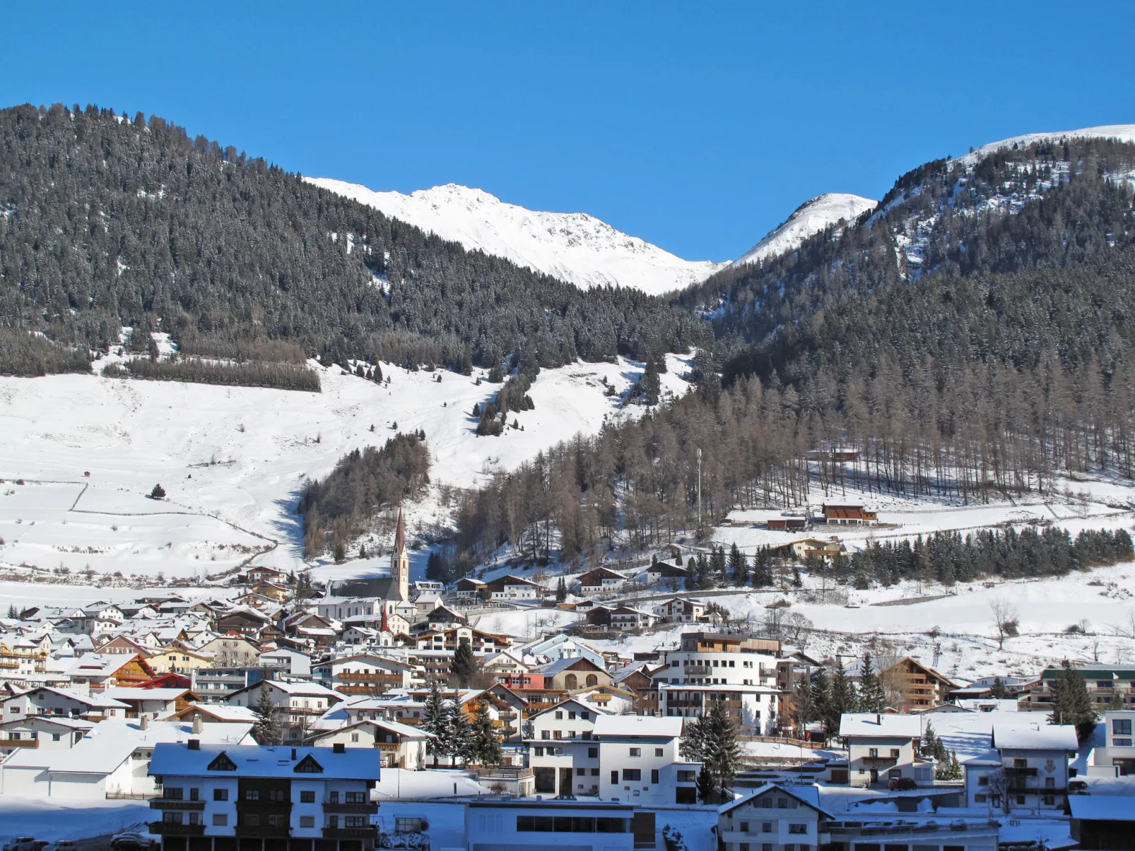 Steinwender-Area