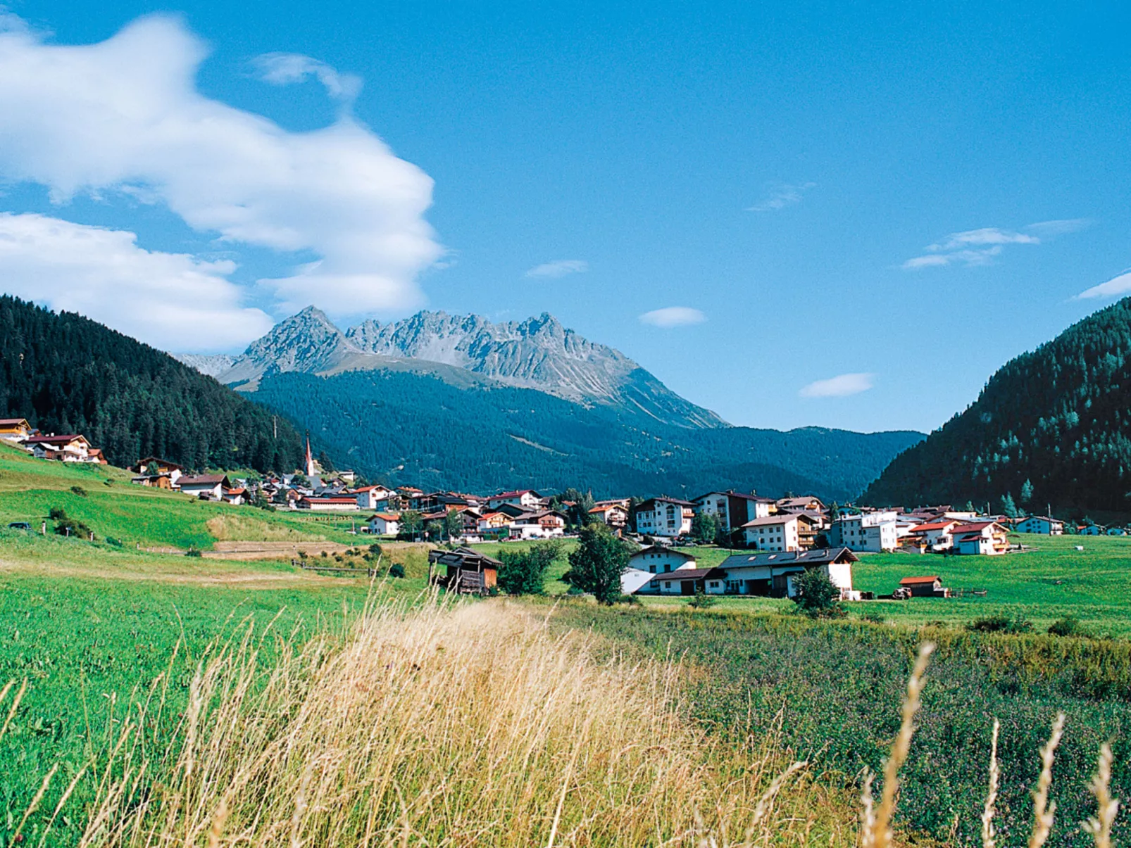 Steinwender-Area