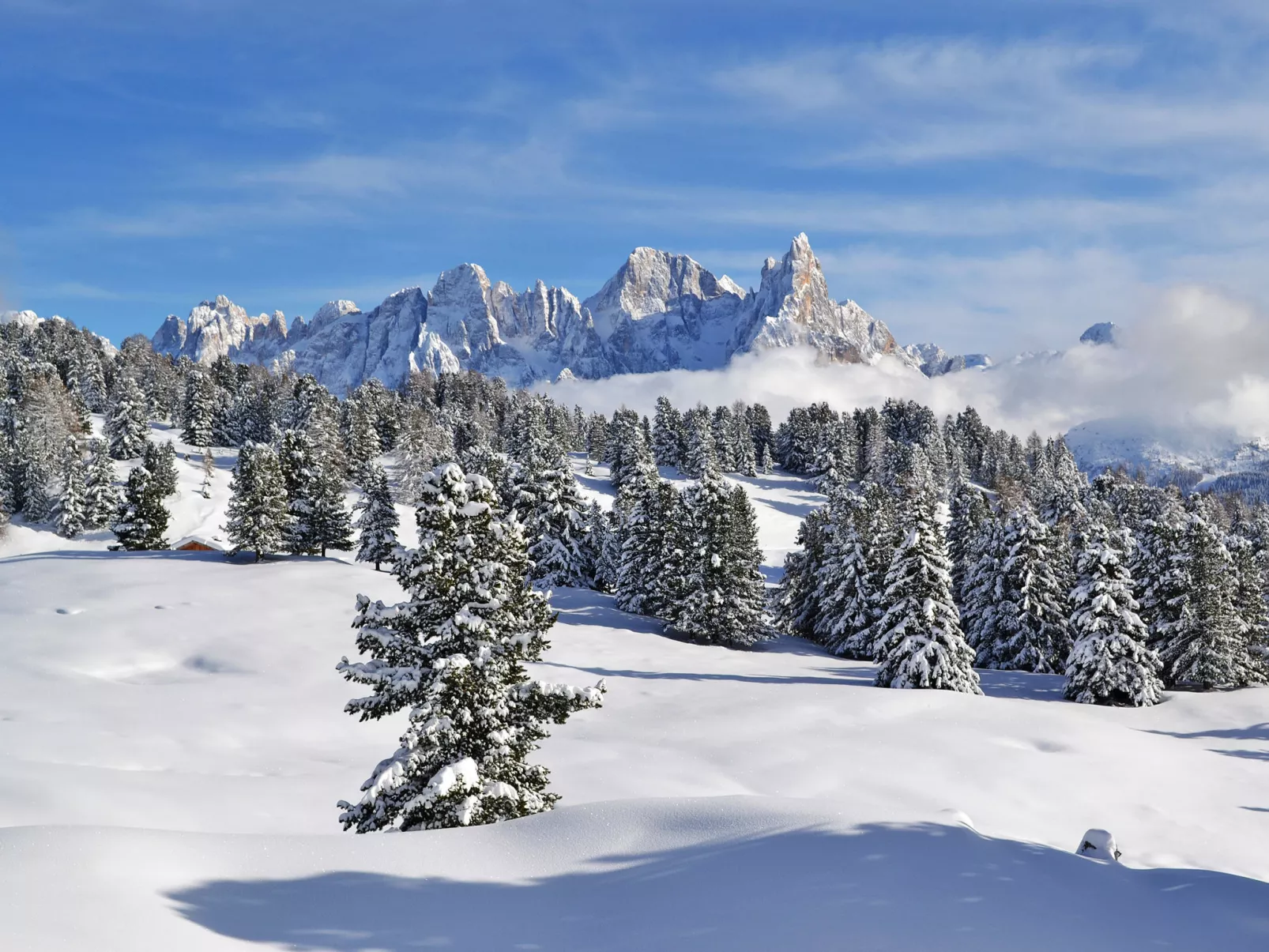 Chalet "Baita Tabià" Dolomites-Area