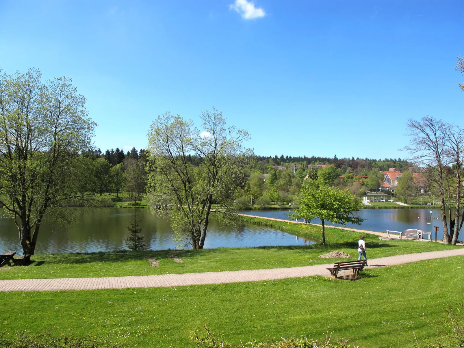 Waldoase-Area