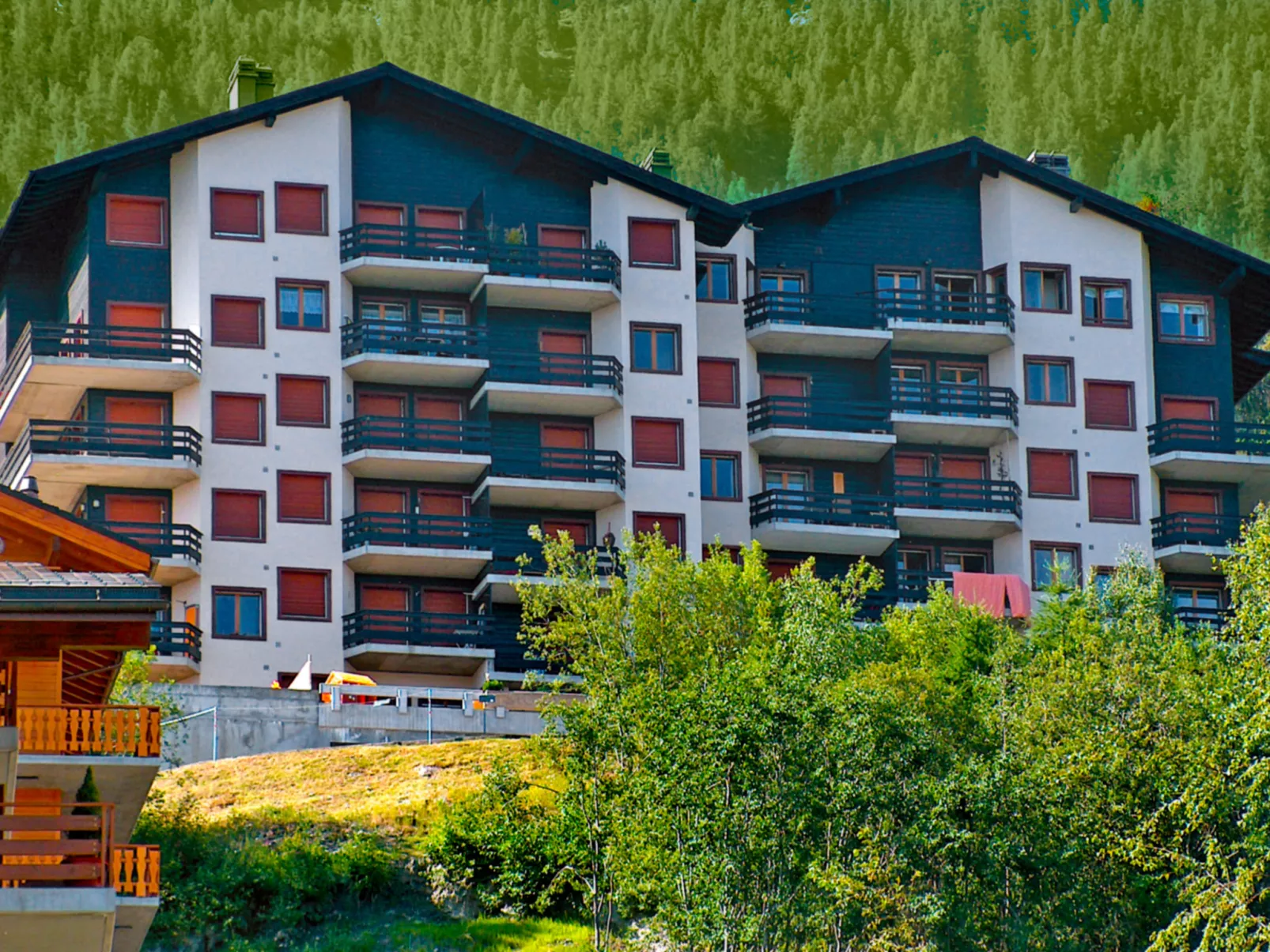 Foret E3-Outside