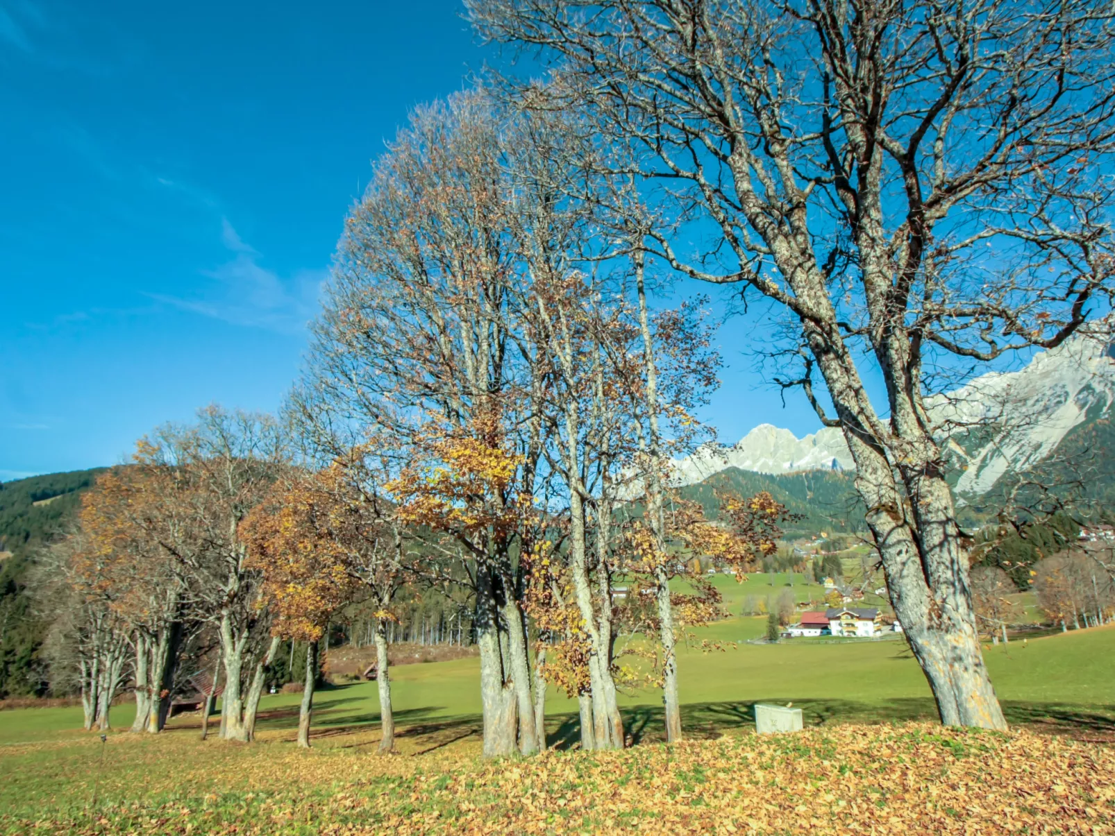 Berghaus Weitblick-Outside