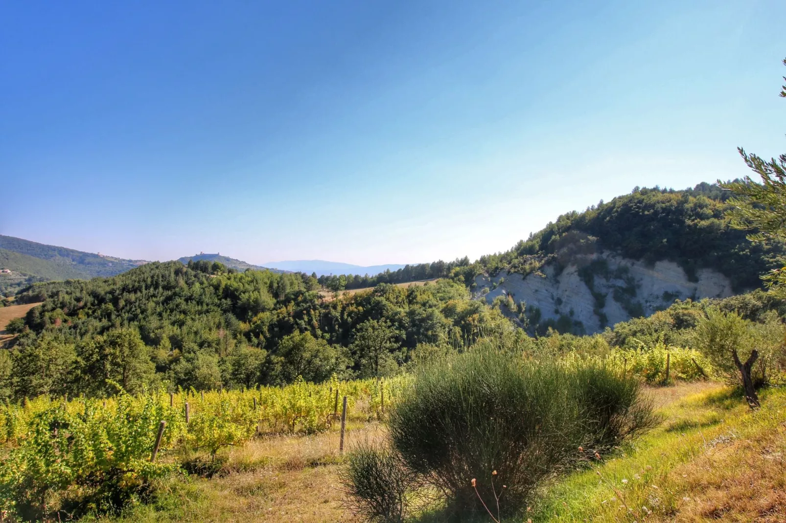 Villa Fata Morgana-Areas summer 1km